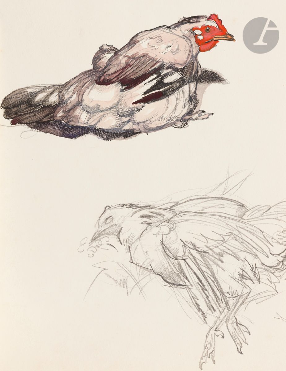 Maurice Jaubert de BECQUE (1878-1938
)Study of hensInk
and watercolor and gouache on pencil lines.
Unsigned.
31 x 22 cm



