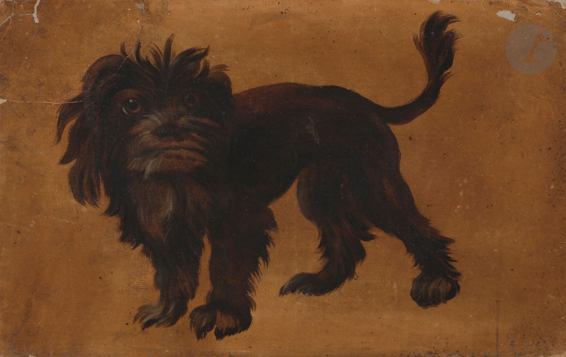 École FRANÇAISE du XVIIIe siècle
Étude de chien
Huile sur papier préparée en ocre jaune
24 x 37,5 cm
(Dessin doublé, manques et déchirures en haut à gauche).