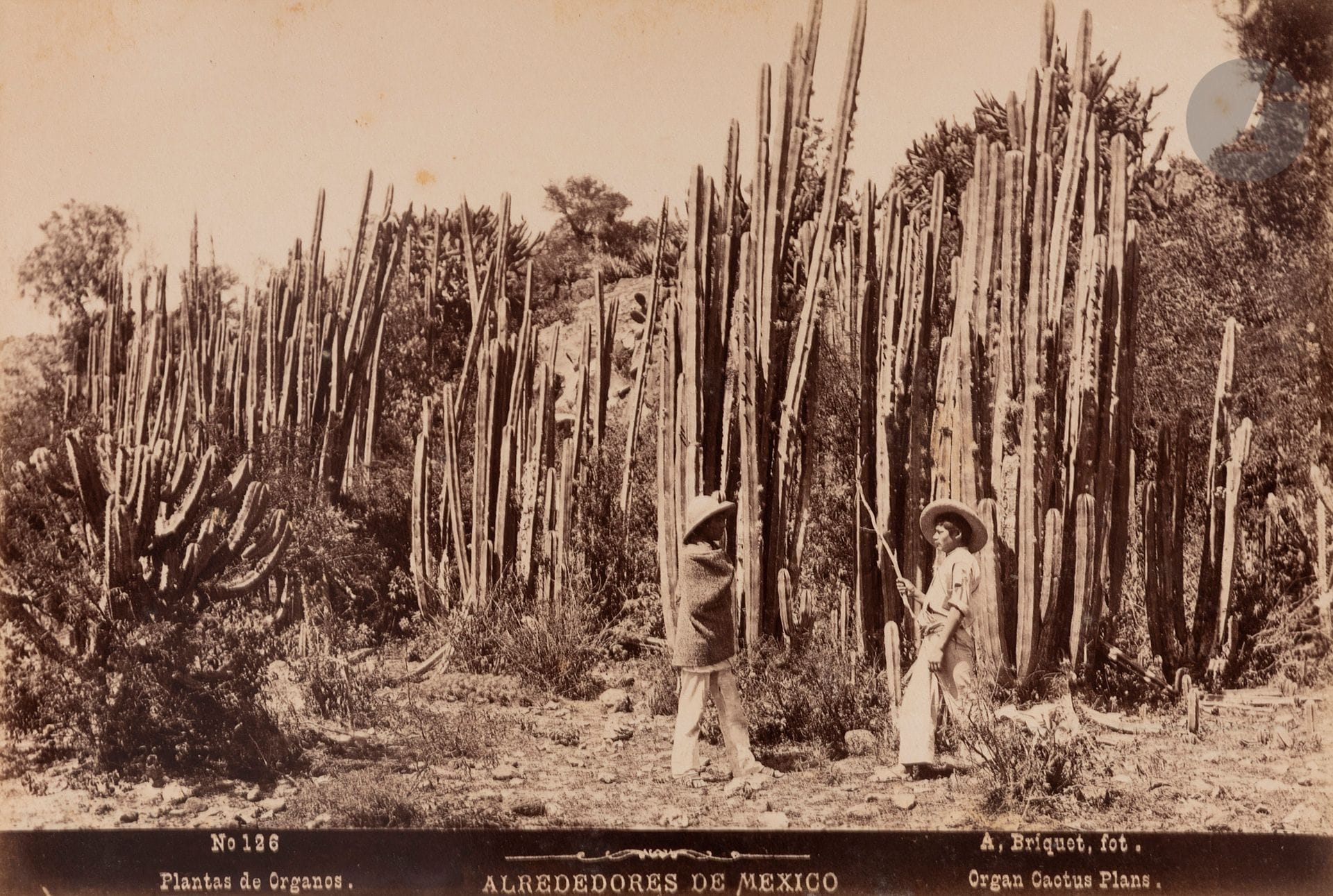 Alfred Saint-Ange Briquet (1833-1926)
Mexique, 1896-1897.
Vues du Mexique.
Arboles de coco. Plantas de cafetales. Cordoba. Rancho. Estado de Vera-Cruz. Puente e Atoyac. Viaducto en la Barranca Infiernillo. Viaducto en la Barranca de Metlac. Barranca de Chiquihuite. Plantas en Tierra Caliente. Carboneros. Labradores indigenas. Plantas de palmas. Tomada de San Juan de Ulua. Jalapa. Orizaba. Vera-Cruz. Cerro de las campanas. Fuente publica. Guadalajara. El Sagrario. Palacio Municipal. Mexico. Bosque de Chapultepec. Catedral. Villa de Guadalupe. Una calle en Ayotla. Platacion de Magueyes. Arbol de la noche triste. Plantas de nopales. Pueblo de Santa-Anita.
Album in-8 oblong, reliure en demi-maroquin brun à coins, titré en lettres dorées sur le premier plat, composé de 55 épreuves sur papier albuminé, contrecollées sur cartons. Crédit du photographe, date, titre en espagnol et en anglais en bandeaux en bas des épreuves. Nombreuses rousseurs. 
Format moyen des épreuves : 13,5 x 19,5 cm


Alfred Saint-Ange Briquet (1833-1926)
Mexico, 1896-1897.
Vues du Mexique.
Arboles de coco. Plantas de cafetales. Cordoba. Rancho. Estado de Vera-Cruz. Puente e Atoyac. Viaducto en la Barranca Infiernillo. Viaducto en la Barranca de Metlac. Barranca de Chiquihuite. Plantas en Tierra Caliente. Carboneros. Labradores indigenas. Plantas de palmas. Tomada de San Juan de Ulua. Jalapa. Orizaba. Vera-Cruz. Cerro de las campanas. Fuente publica. Guadalajara. El Sagrario. Palacio Municipal. Mexico. Bosque de Chapultepec. Catedral. Villa de Guadalupe. Una calle en Ayotla. Platacion de Magueyes. Arbol de la noche triste. Plantas de nopales. Pueblo de Santa-Anita.
Oblong 8vo album, titled in gold letters, composed of 55 albumen prints, mounted on cardboard. Photographer's credit, date, title in Spanish and English at the bottom of the prints. Numerous foxings. 
Average size of the prints : 13,5 x 19,5 cm