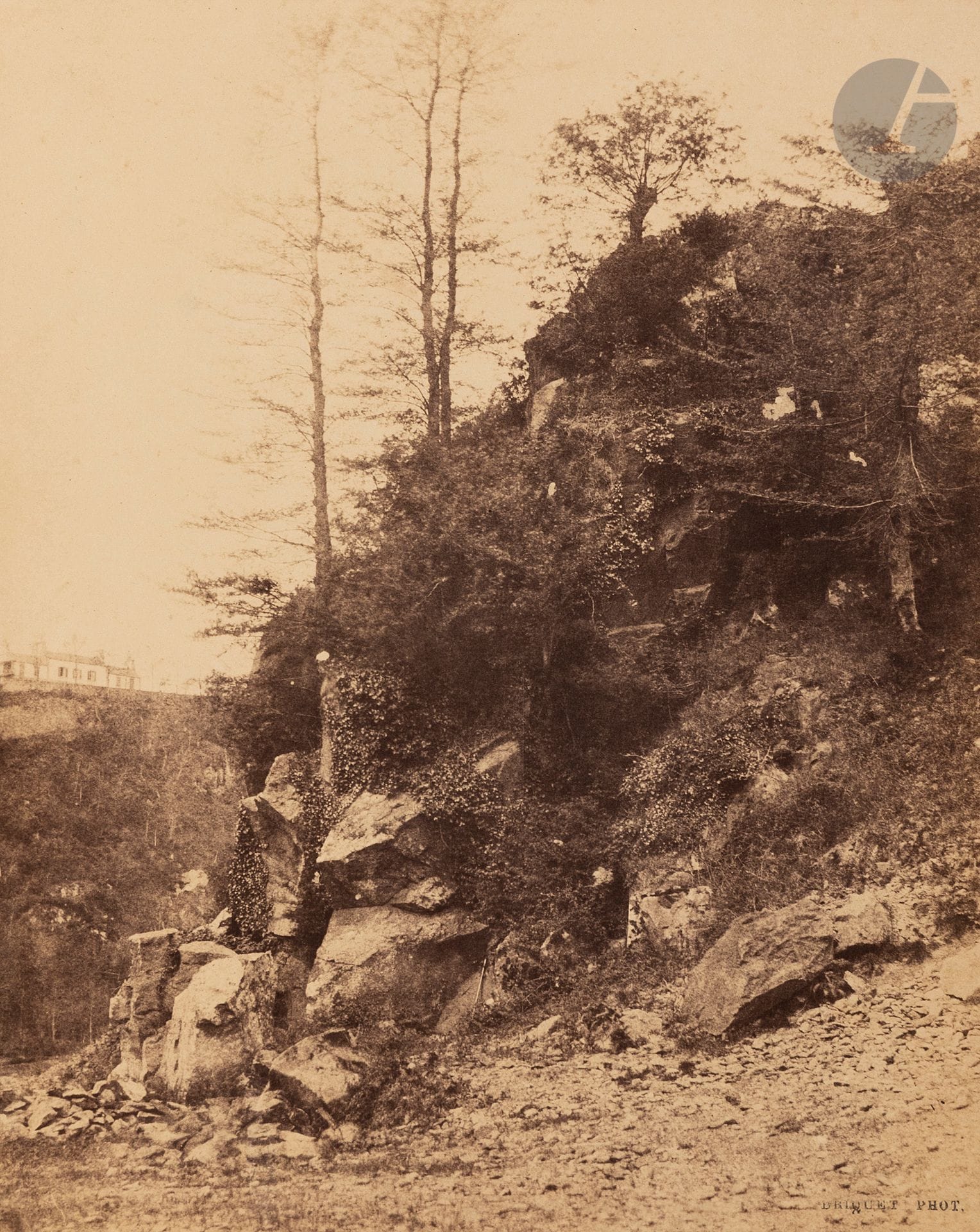 Alfred Briquet (1833-1926)
Côte arborée, c. 1855. 
Épreuve sur papier albuminé, d’après négatif papier, contrecollée sur carton. Tampon « Briquet Phot. » en bas à droite de l’épreuve et sur le montage en bas. 
25 x 19,3 cm 


Alfred Briquet (1833-1926)
Hill, c. 1855. 
Albumen print from a paper negative, mounted on cardboard. Stamped "Briquet Phot." in the lower right corner of the print and on the mount. 
25 x 19,3 cm