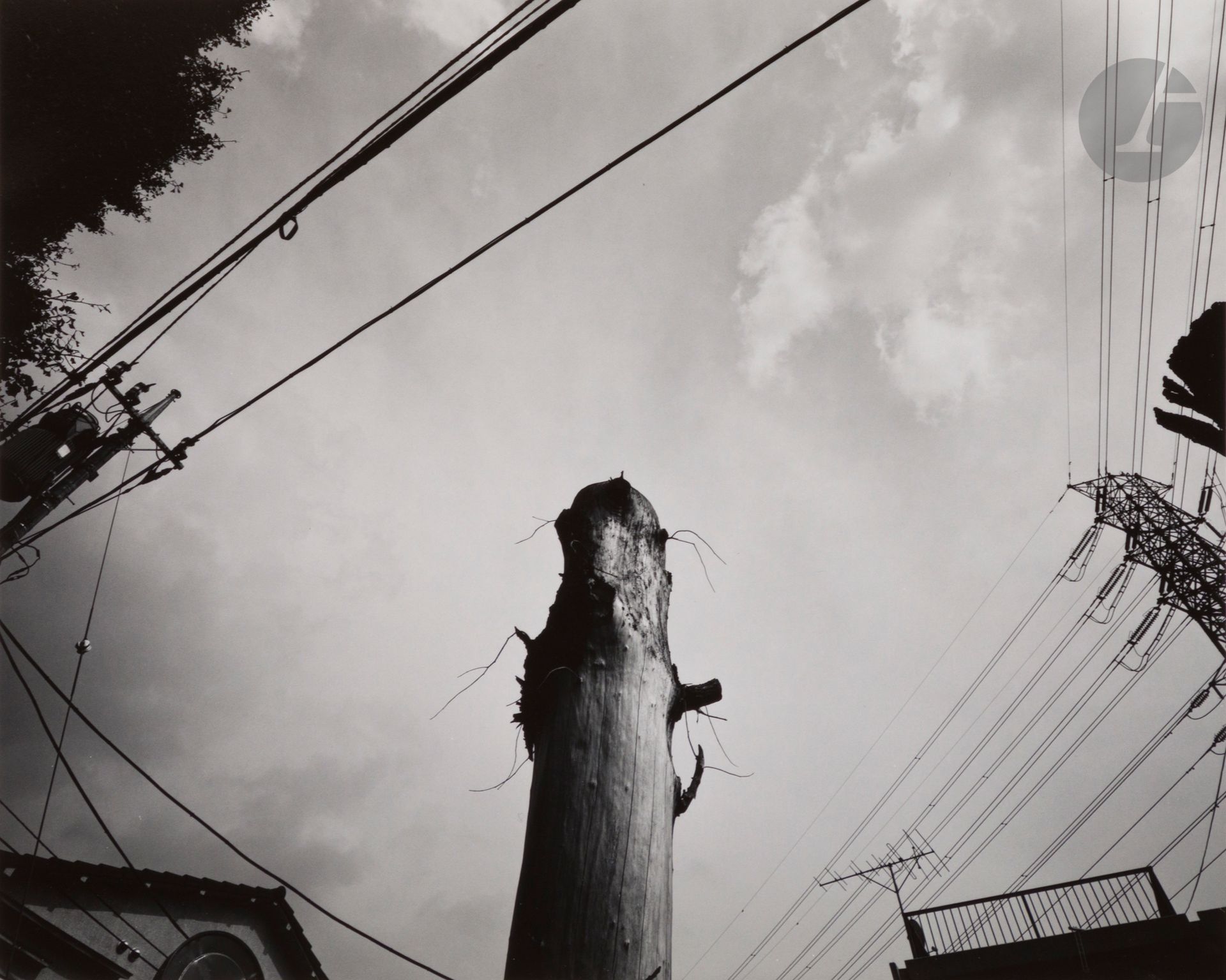Masao Mochizuki (1939) 
Kodama, c. 1980.
Épreuve argentique d’époque, signée et légendée au crayon au verso. 
Image : 18,2 x 22,6 cm
Feuille : 20 x 25 cm 


Masao Mochizuki (1939) 
Kodama, c. 1980.
Vintage gelatin silver print, signed and captioned in pencil on verso. 
Image : 18,2 x 22,6 cm
Sheet : 20 x 25 cm