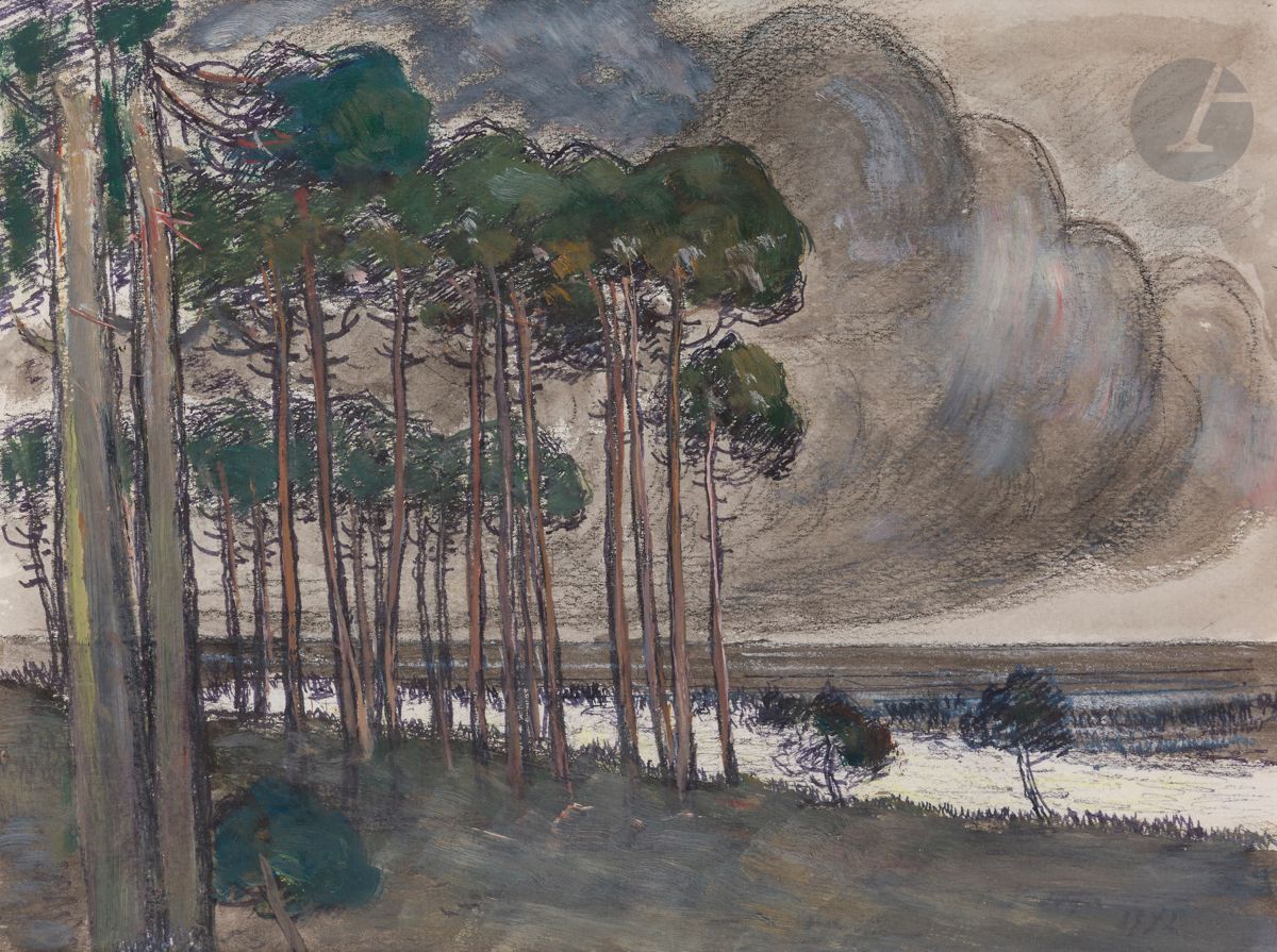 Jean Roger SOURGEN (1883-1978
)Landes, cloudy landscapeOil
, charcoal and watercolor on paper.
Signed lower right.
22 x 30 cm



