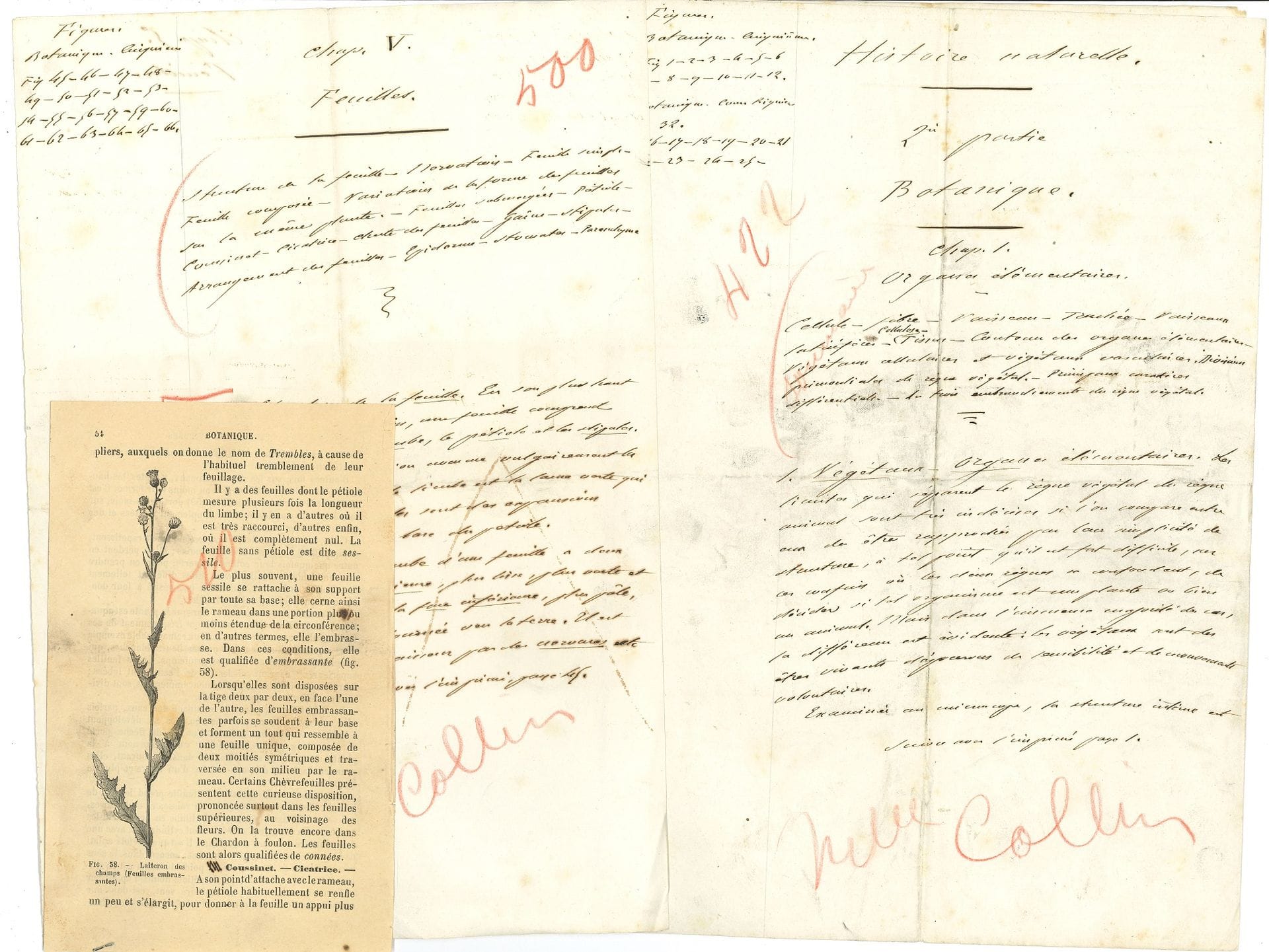 Jean-Henri FABRE (1823-1915) entomologist. Partly autograph manuscript Natural History. 2nd part Botany; 60 folio pages and 110 double-sided printed sheets (in-12 and in-8), some cut out, slipped or pasted into the body of the text.

Preparation of a school textbook, largely taking up the text of his works Cours élémentaire de Botanique and Botanique (Delagrave, 1874), in 22 chapters, with autograph additions, deletions and corrections, having been used for printing (printer's marks). I. Elementary organs. II Stems. III Root. IV Buds. V Leaves. VI. Nutrition of plants. VII. Respiration of plants. VIII Movements of the Leaves. IX The Flower. X Inflorescence. XI. Origin of the Floral Organs. XII Calyx and Corolla. XIII Stamen and pistil. XIV Function of pollen. XV The Fruit. XVI The Seed. XVII Classification of the plant kingdom. XVIII. Dicotyledons gamopetal. XIX. Dicotyledons dialypetal. XX. Apetal dicotyledons. XXI. Monocotyledons. XXII. Acotyledons or Cryptogams.