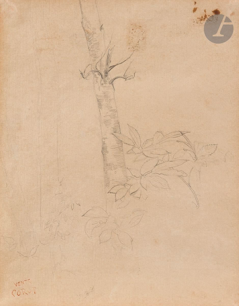 
Jean-Baptiste Camille COROT 



(Paris 1796 - 1875) 



Étude de plantes et arbre



Crayon noir. 



(Petites taches, restaurations dans les angles).



23,7 x 18,8 cm





Provenance : 



Vente de l’atelier de l’artiste, son cachet en bas à gauche (Lugt 460a).





Nous remercions Mme Claire Lebeau qui nous a aimablement confirmé l’authenticité de ce dessin d’après une photographie.
