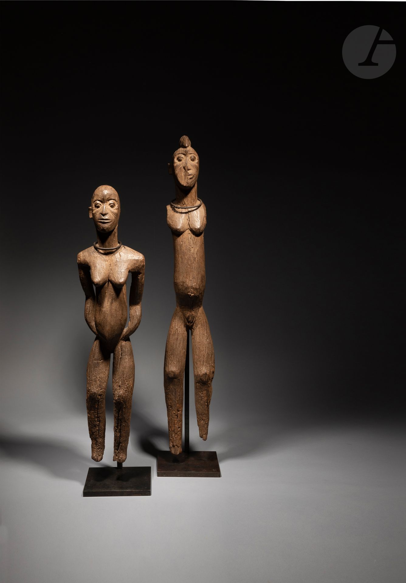 Très ancien et rare couple de statues d'ancêtres aux visages scarifiés, l'homme porte une coiffure rasée en crète, et chacune est ornée d'un collier de bronze.

Le style de ces deux vieillissimes sculptures aux regards intenses, sculptées dans un bois très dense, aux volumes ronds et contenus, les situent chez les gurunsi, nom péjoratif que les lobi donnaient à leurs voisins nuna.

La position des bras de la femme est par ailleurs emblématique de l'art kulango dont l'influence ici est possible, mais peut renvoyer à une posture de danse. La très grande ancienneté de ce couple témoigne de " mariages " anciens que les études spécifiques sur l'art Lobi et les publications récentes ont aujourd'hui toujours beaucoup de mal à cerner tant la tradition est ancienne.

Nuna (Gurunsi) ou Lobi, Burkina Faso ou Côte d'Ivoire.

Bois dur, bronze, érosion et importante dessiccation d'ancienneté, manques visibles (casses anciennes), superbe patine d'usage.

H. : 92 cm et H. : 75 cm



Provenance :

Collection Christian Debenest



Publication :

Vente Pierre Bergé & Associés - La Collection d'un Amateur - 8 avril 2016, lot 84 pages 64 et 65