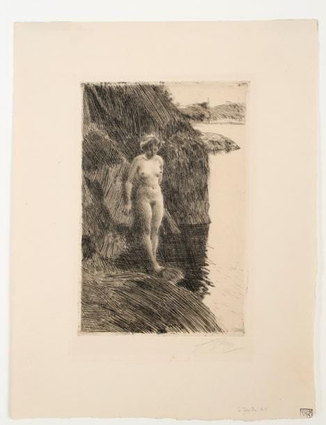 Anders Zorn (suédois, 1860-1920)
Précipice. 1909. Eau-forte. 158 x 240. Asplund 228. Très belle épreuve sur vergé, signée à la mine de plomb. Trace claire d'oxydation à l'ouverture d'un ancien montage. Toutes marges. Ex-coll. C. G. Vattier Kraane (Lugt 2521a).