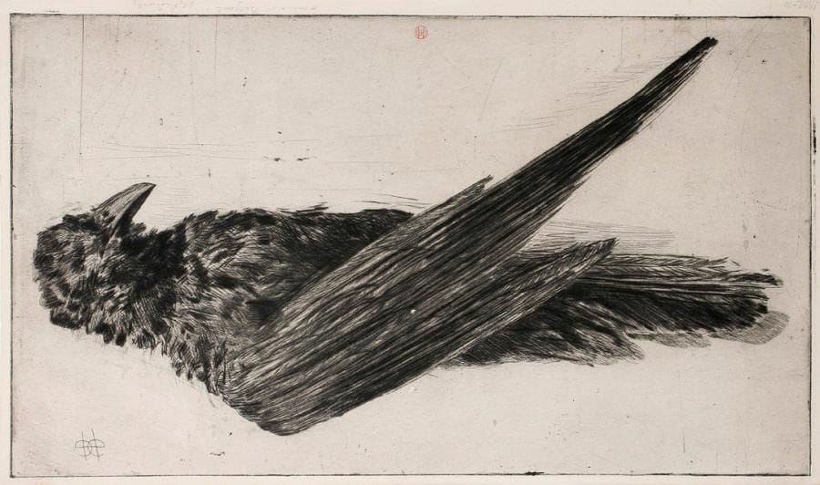Henri-Charles Guérard (1846-1897)
Le Grand Corbeau pendu. Avant 1888. Eau-forte et pointe sèche. 447 x 252. Bertin 322. Superbe épreuve sur vergé, chargée de barbes, timbrée (Lugt 1157), dédicacée «à mon ami Delzant» et signée à la mine de plomb. Deux petits arrachements en surface dans le sujet. Traces de colle en tête au verso et petits restes de papier gommé oxydés. Petites marges normales.
