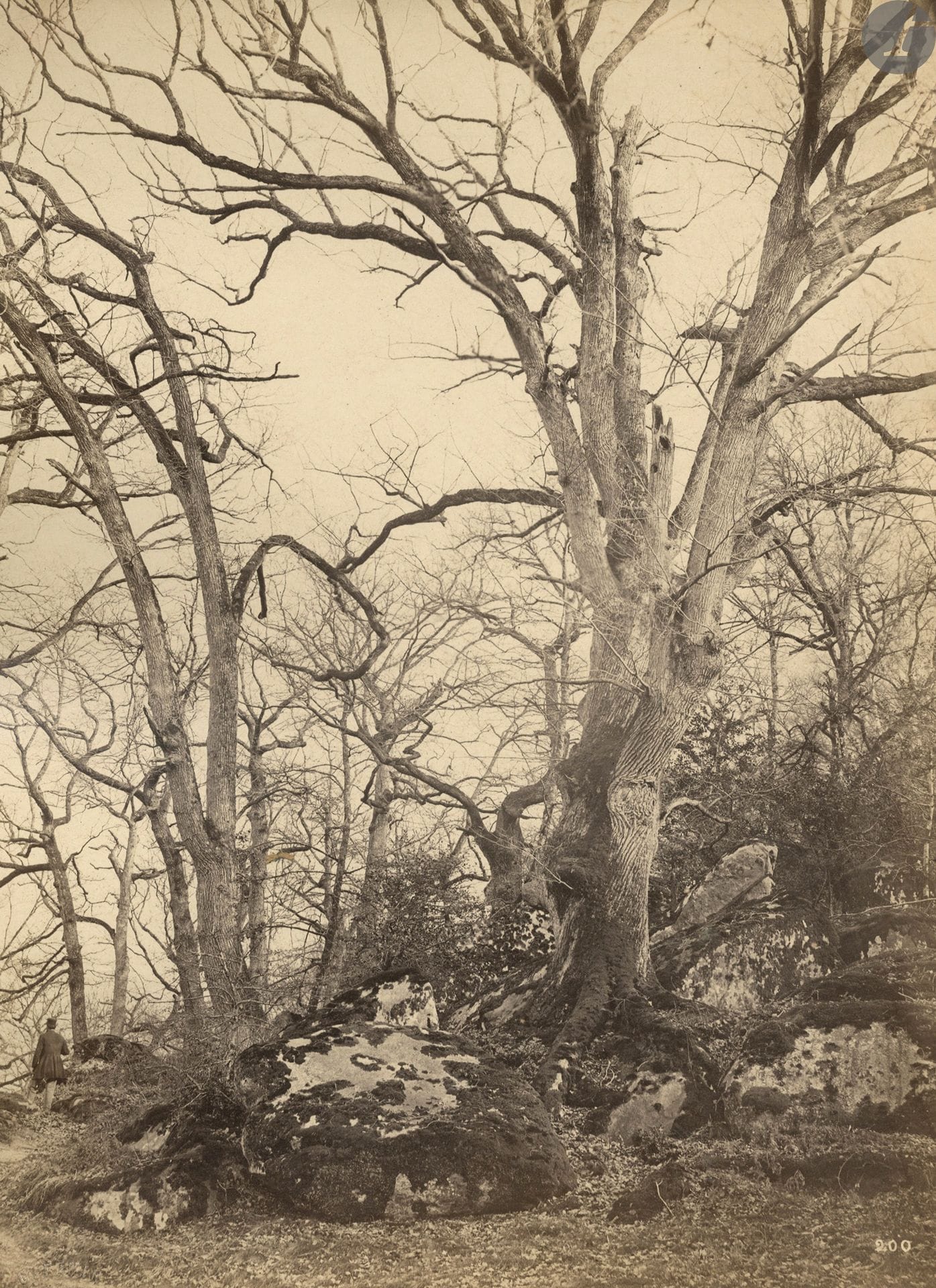 Achille Quinet (8131-1907) - Constant Famin (1827-1888)
Étude d'après nature, c. 1870. 
Sous-bois. Cours d'eau. Étude végétale. 
Sept épreuves sur papier albuminé, contrecollées sur cartons. Timbre sec de photographe ou tampon-signature sur les épreuves et les montages. 
Formats : de 19,3 x 24,3 à 31,3 x 22,8 cm

Provenance : archives de l'architecte Charles Genuys.

Achille Quinet (8131-1907) - Constant Famin (1827-1888)
Étude d'après nature, c. 1870. 
Forest. Watercourse. Plant study. 
Seven albumen prints mounted on cardboard. Photographer stamp or signature stamp on prints and mounts. 
Dimensions : from 19,3 x 24,3 to 31,3 x 22,8 cm