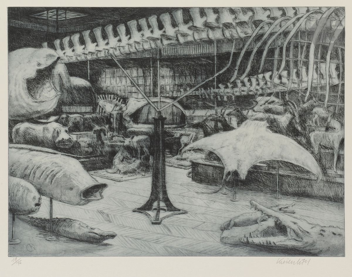 Jürg Kreienbühl (suisse et français, 1932-2007)
Galerie de Zoologie, Musée d’histoire naturelle de Paris. 1986-1995. 
Eau-forte, aquatinte et pointe sèche sur laiton. 55,5 x 65 cm. Plumart G 194. 
Parfaite épreuve sur vélin gris fort, tirée en bleu, numérotée et signée au crayon. Tirage à 75 épreuves.