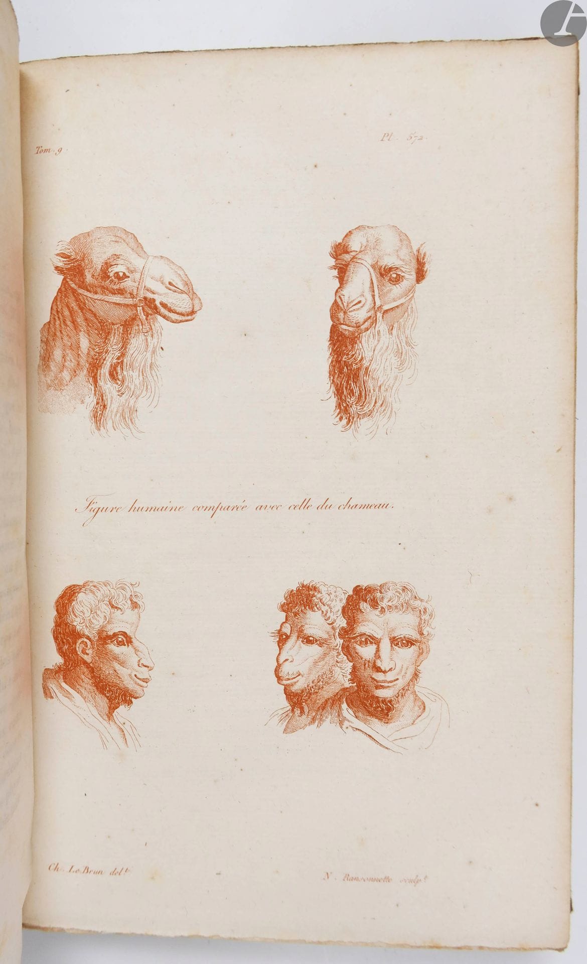 LAVATER (Johann Caspar).
L'Art de connaître les hommes par la physionomie.
Paris : Depélafol, 1820. — 10 volumes in-8, demi-maroquin rouge à coins, dos à faux nerfs orné, non rogné (reliure de l'époque).

Nouvelle édition française de ce célèbre ouvrage du théologien et poète zurichois Johann Caspar Lavater (1740-1801) : « corrigée et disposée dans un ordre plus méthodique ; précédée d'une Notice historique sur l'Auteur ; augmentée d'une Exposition des recherches ou des opinions de La Chambre, de Porta, de Camper, de Gall, sur la physionomie ; d'une Histoire anatomique et physiologique de la face, etc. ; par M. Moreau (de la Sarthe) » (titre).

Riche illustration comprenant 602 gravures sur cuivre dont 9 vignettes de titre, 74 compositions dans le texte et 519 planches dont 3 en deux couleurs (tome 4) et 74 en bistre (tome 9).

Splendide exemplaire dans une très élégante reliure de l'époque.
Rousseurs.