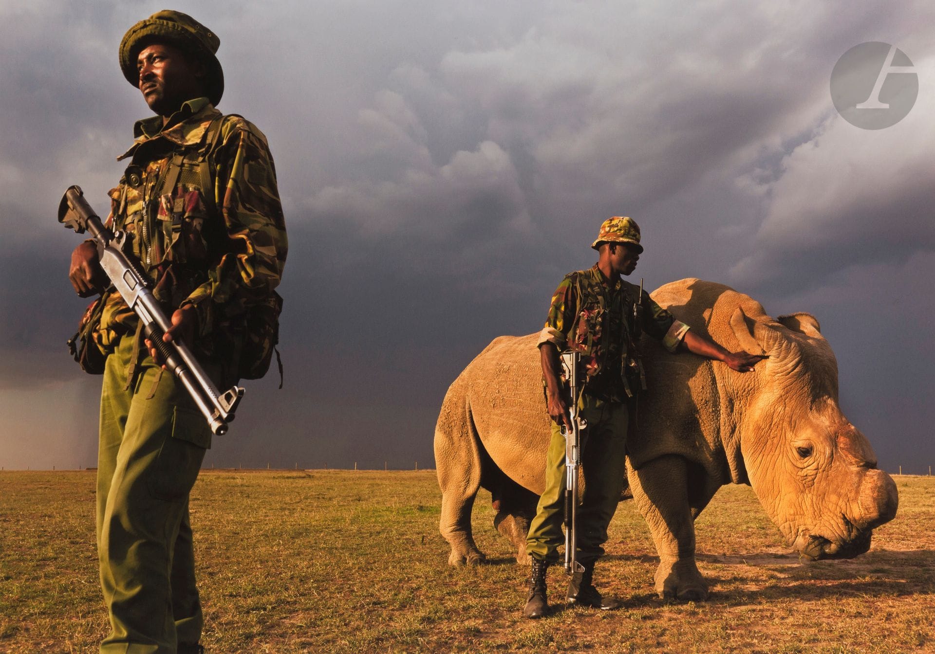 
Brent Stirton (1952) 

Sudan, the last Northern white rhino male. Kenya, juillet 2011.

Épreuve pigmentaire, signée, titrée, datée et numérotée à 1 exemplaire à l’encre dans la marge en bas à droite. L’œuvre est accompagnée d’une légende autographe de Brent Stirton racontant l’histoire de sa photographie. 

Image: 35,7x53,5cm

Feuille: 43x55,7cm



Vente au profit de l’association ACT & HELP - lots 1 à 49
