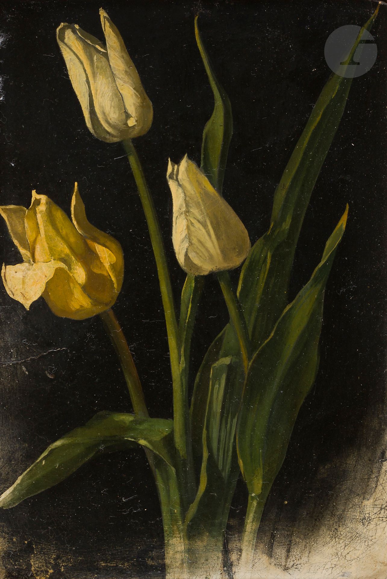 FRENCH SCHOOL circa 1840
Study of yellow tulips
Cardboard
30 x 20 cm