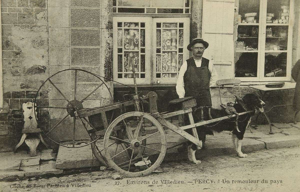 Département 50 PERCY. Le rémouleur et sa voiture à chien. TBE.