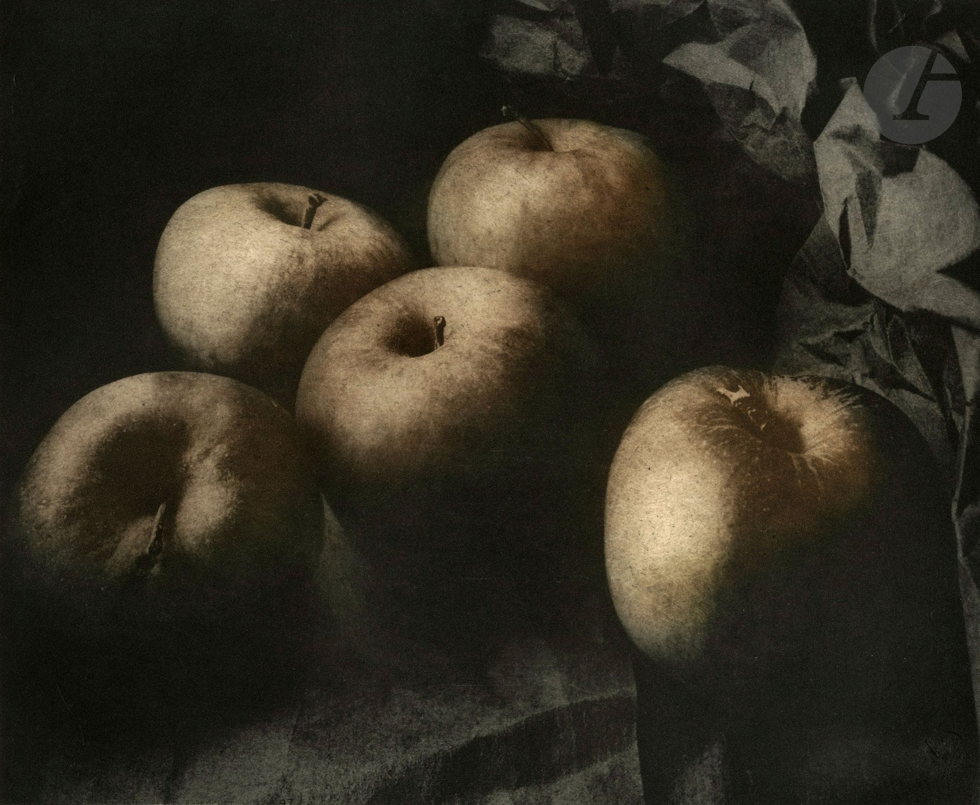 Jean-Louis Bloch-Lainé (1940)
Pommes, 1979.
Héliogravure (tirée par Pierre Brochet) rehaussée de couleurs. Signature du photographe et timbre sec du tireur dans la marge inférieure à droite.
Image : 24,2 x 29,5 cm
Feuille : 65 x 49,7 cm

Photogravures (printed by Pierre Brochet) enhanced with colors. Signature of the photographer and blind stamp of the printer in the lower right margin.
Image : 24,2 x 29,5 cm
Paper : 65 x 49,7 cm