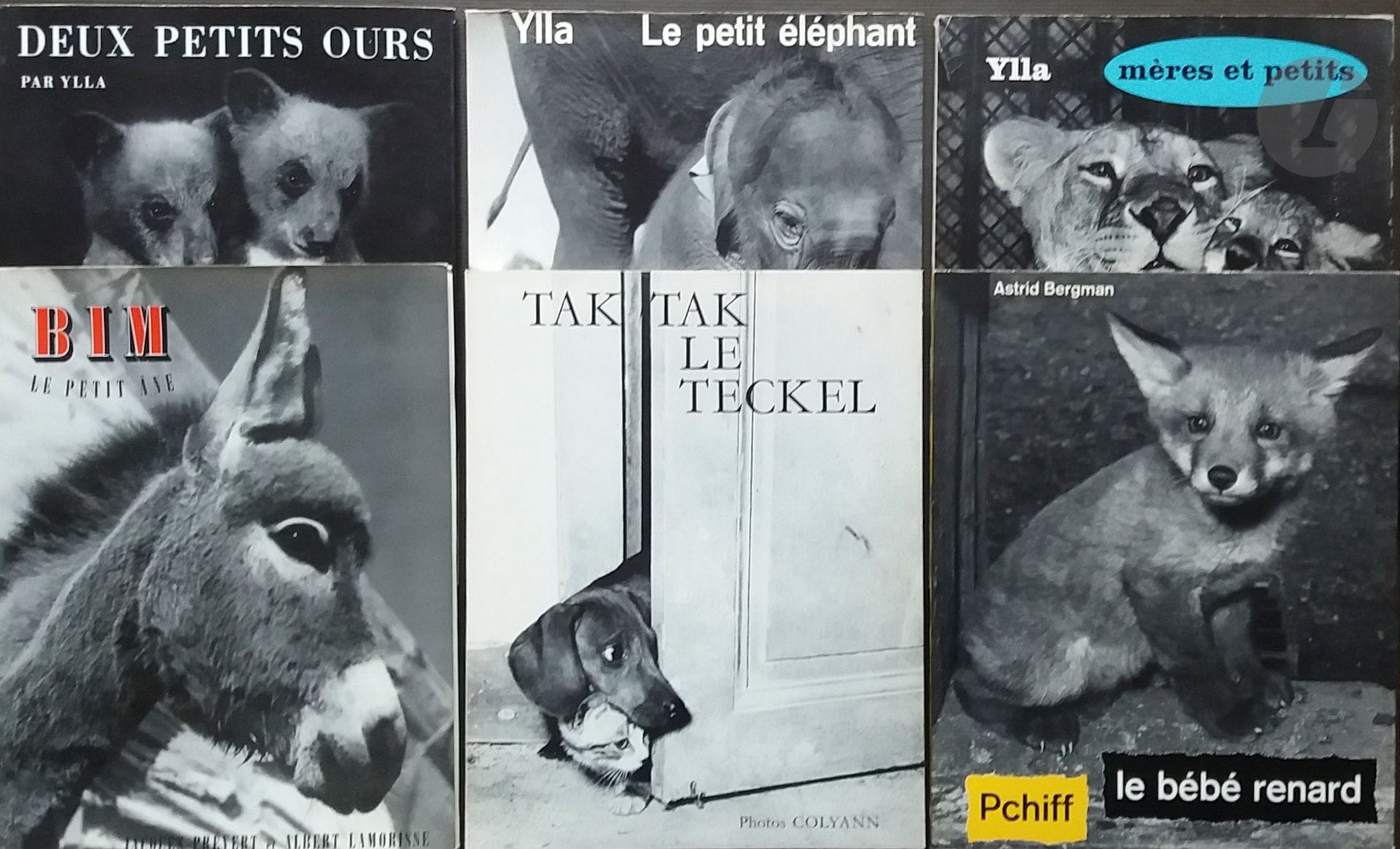 [LIVRES DE PHOTOGRAPHIE POUR ENFANTS]
9 ouvrages, tous en très bel état.

YLLA [Camilla Koffler, dit) (1911-1955)
*Deux Petits Ours.
La Guilde du Livre, 1954.
In-4 (28 x 22 cm). Édition originale. 36 pages. Texte de Paulette Falconnet. Photographies superbement imprimées en héliogravure. Cartonnage gris d'éditeur, sous jaquette illustrée à rabats.
*Le Petit Éléphant.
La Guilde du Livre, 1955.
In-4 (28 x 22 cm). Édition originale. 36 pages. Texte de Paulette Falconnet. Photographies superbement imprimées en héliogravure. Cartonnage gris d'éditeur, sous jaquette illustrée à rabats.
*Mères et Petits.
La Guilde du Livre, 1958.
In-4 (28 x 22 cm). Édition originale. 36 pages. Texte de Frédéric Massy. Mise en page de Luc Bouchage. Photographies superbement imprimées en héliogravure. Cartonnage gris d'éditeur, sous jaquette illustrée à rabats.

LAMORISSE, ALBERT & PRÉVERT, JACQUES
*Bim le petit âne. 
La Guilde du Livre, 1951.
In-4 (28 x 22 cm). Édition originale. 42 pages. Histoire et photographies d'Albert Lamorisse. Texte de Jacques Prévert. Photographies superbement imprimées en héliogravure. Cartonnage gris d'éditeur, sous jaquette illustrée à rabats.

BERGMAN, ASTRID
*Pchiff, le bébé renard.
La Guilde du Livre, 1956.
In-4 (28 x 22 cm). Édition originale. 48 pages. Histoire et photographies d'Astrid Bergmann, racontée par Claude Roy. Photographies superbement imprimées en héliogravure. Cartonnage gris d'éditeur, sous jaquette illustrée à rabats.

COLYANN
*Tak Tak le Teckel.
La Guilde du Livre, 1962.
In-4 (28 x 22 cm). Édition originale. 40 pages. Une histoire de Gisèle d'Assailly, racontée par Paulette Falconnet, illustrée par Colyann. Photographies superbement imprimées en héliogravure. Cartonnage gris d'éditeur, sous jaquette illustrée à rabats.

SILVESTER, HANS
*Pizzi + Puzzi, die jungen Eichhörnchen.
Eugen Rentsch Verlag, 1959.
In-4 (28 x 22 cm). Édition originale, en allemand. Photographies par Hans Silvester et Herbert Walther, imprimées en héliogravure. Texte de Louis Erlacher. 48 pages. Cartonnage illustré. Dos muet en tissu jaune de l'éditeur. 

KLAGES, JÜRG
*Die goldene Feder.
Ein Fuchsmärchen von Jürg Klages.
Ex Libris Verlag, Zürich, 1958.
In-4 (28 x 22 cm). Édition orinale, en allemand . 48 pages. Cartonnage illustré. Dos muet noir de l'éditeur.

LAMORISSE, ALBERT
*Die weisse Hengst.
Buchclub Ex Libris, 1961.
In-4 (28 x 22 cm). Édition originale, en allemand. D'après le film ""Crin Blanc"". 52 pages. Cartonnage illustré.
