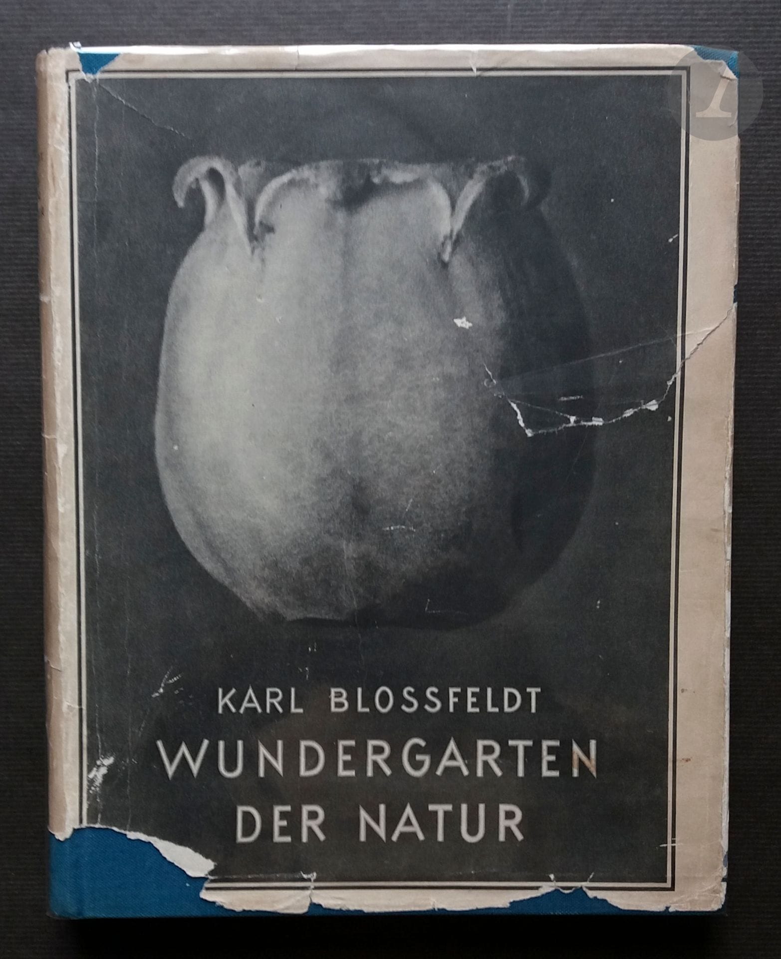 BLOSSFELDT, KARL (1865-1932)
Wundergarten der Natur.
Verlag für Kunstwissenschaft, 1932.
In-4 (33 x 25 cm). Édition originale. 14 pp. de texte, suivies de 120 planches imprimées en héliogravure sur le recto. Reliure toilée bleu avec illustration et titre dorés en creux. Exemplaire complet de la rare et fragile jaquette d'origine, avec déchirures et manques.
Ref. Hasselblad, pp. 106-107.