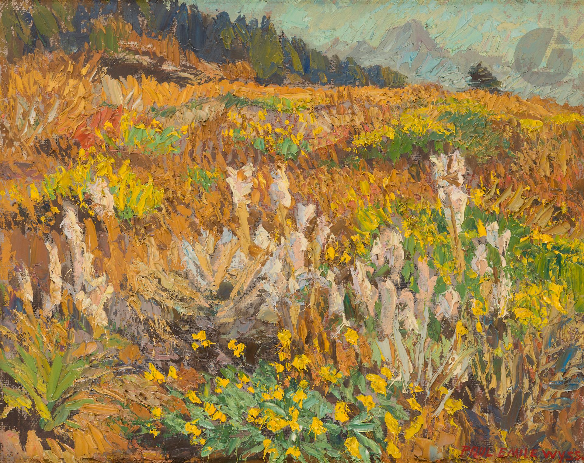 Paul Emil Wyss dit Paul WEISS (1888-1977)
Suisse, champs en été
Huile sur panneau.
Signée en bas à droite.
40,5 x 50,5 cm