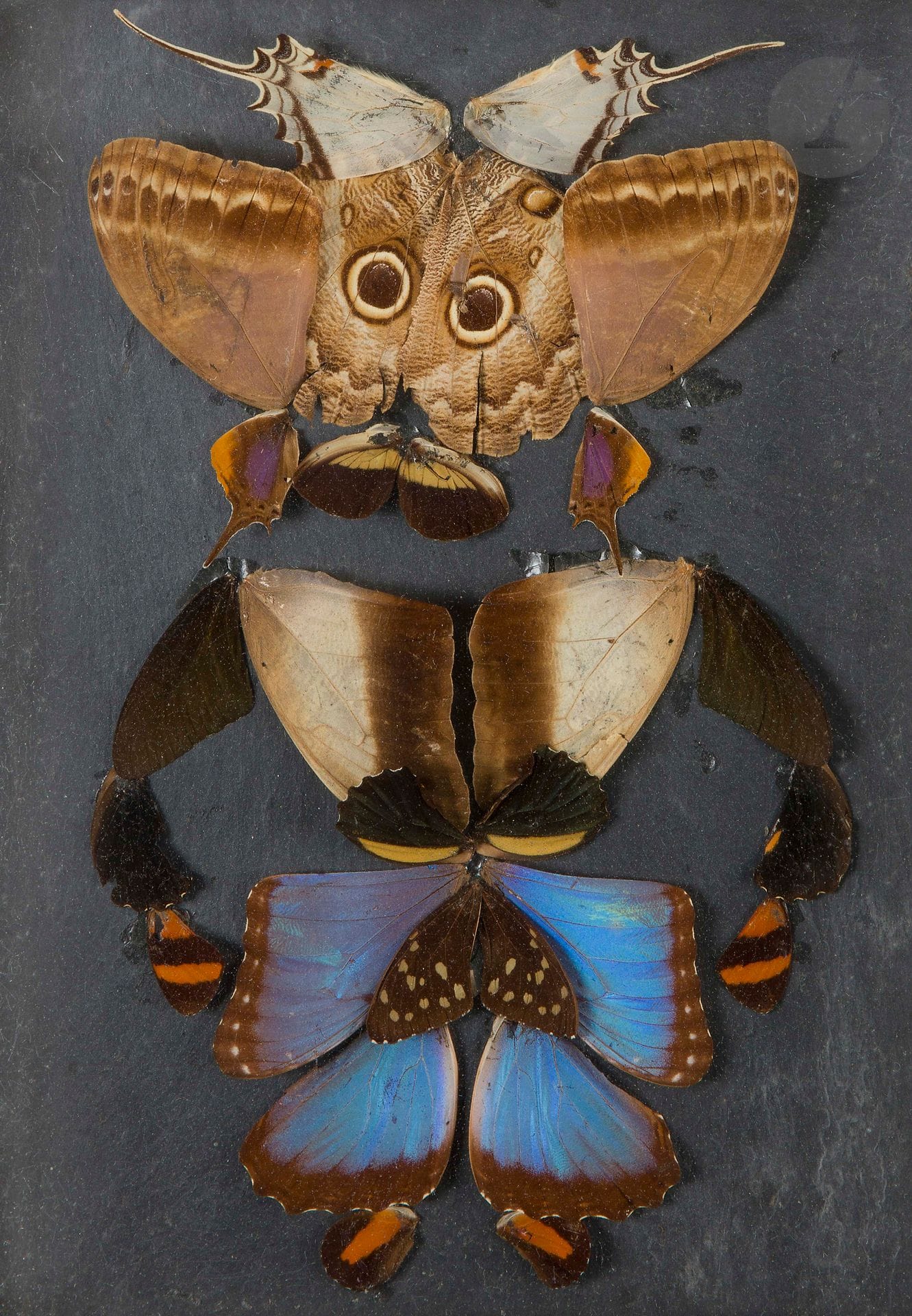 Pierre BETTENCOURT (1917-2006)
Papillons de Colombie - Série « Grosses têtes », 1961
Collage d’ailes de papillons.
Monogrammé et daté sur la tranche de l’emboîtage.
31,5 x 23 x 3 cm

Provenance : 
- Collection Daniel Cordier (étiquette au dos).
- Collection Marcel Billot.