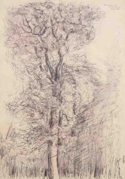 Marek SZWARC (1892-1958)
Arbre, 1942 Encre et estompe. Signé en haut à droite, daté 10 juillet janvier 1942 et situé à Nisbet house. 37 x 27 cm.