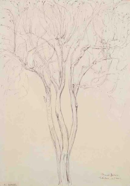 Marek SZWARC (1892-1958)
Arbre en hiver, 1942 Encre. Signée, localisée et datée 6 janvier 1942 en bas à droite. (étiquette au nom de l'artiste collée en bas à gauche). 37 x 27 cm.