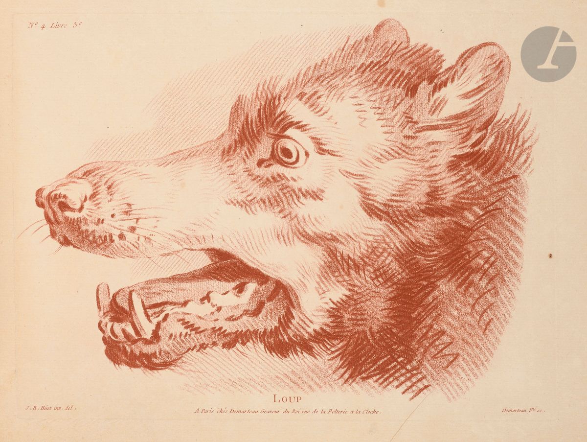 Gilles Demarteau (1722-1776)
IIIrd Study Book of Animals drawn by Huet painter of the king. I.F.F. 36. Rare album including the complete suite of the 4 plates bound with string. Engraving in pencil manner after Huet. The leaves : 430 x 295. Printed in sanguine. Very nice proofs on laid paper, slightly oxidized. Some rare foxing and traces of folds. All margins.