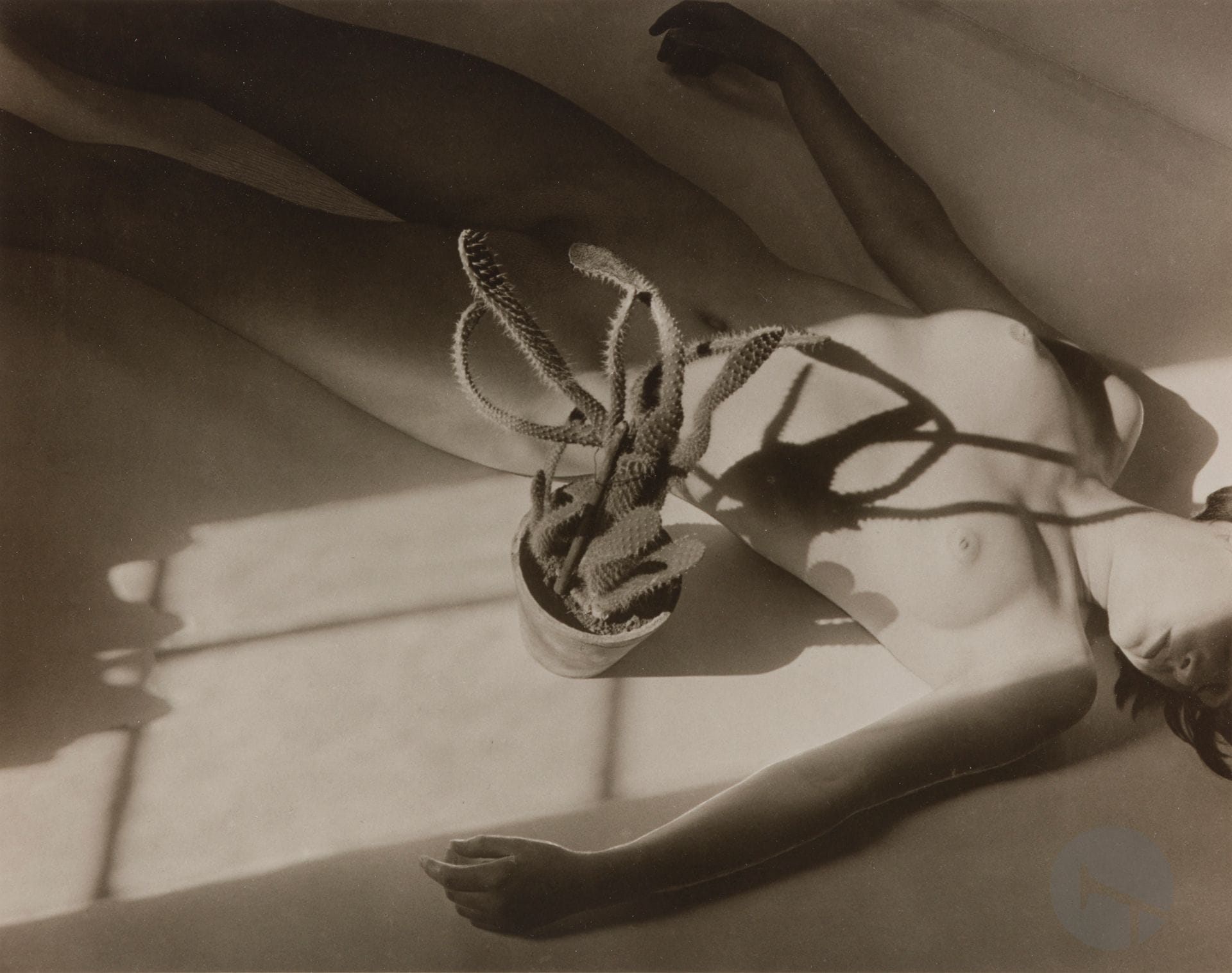 Willy Zielke (1902-1989)
Nu féminin au cactus, 1934. 
Épreuve argentique (1984), signée, titrée, datée et numérotée à 50 exemplaires au crayon au verso. 
Image : 17,9 x 22,8 cm / Feuille : 20,3 x 25,2 cm

Bibliographie :  
Christian Bouqueret, Willy Zielke Photographies 1923-1937, Rencontres internationales de la photographie, Musée Réattu, Arles, 4 juillet – 25 septembre 1982, cat. expo, ill. 32.