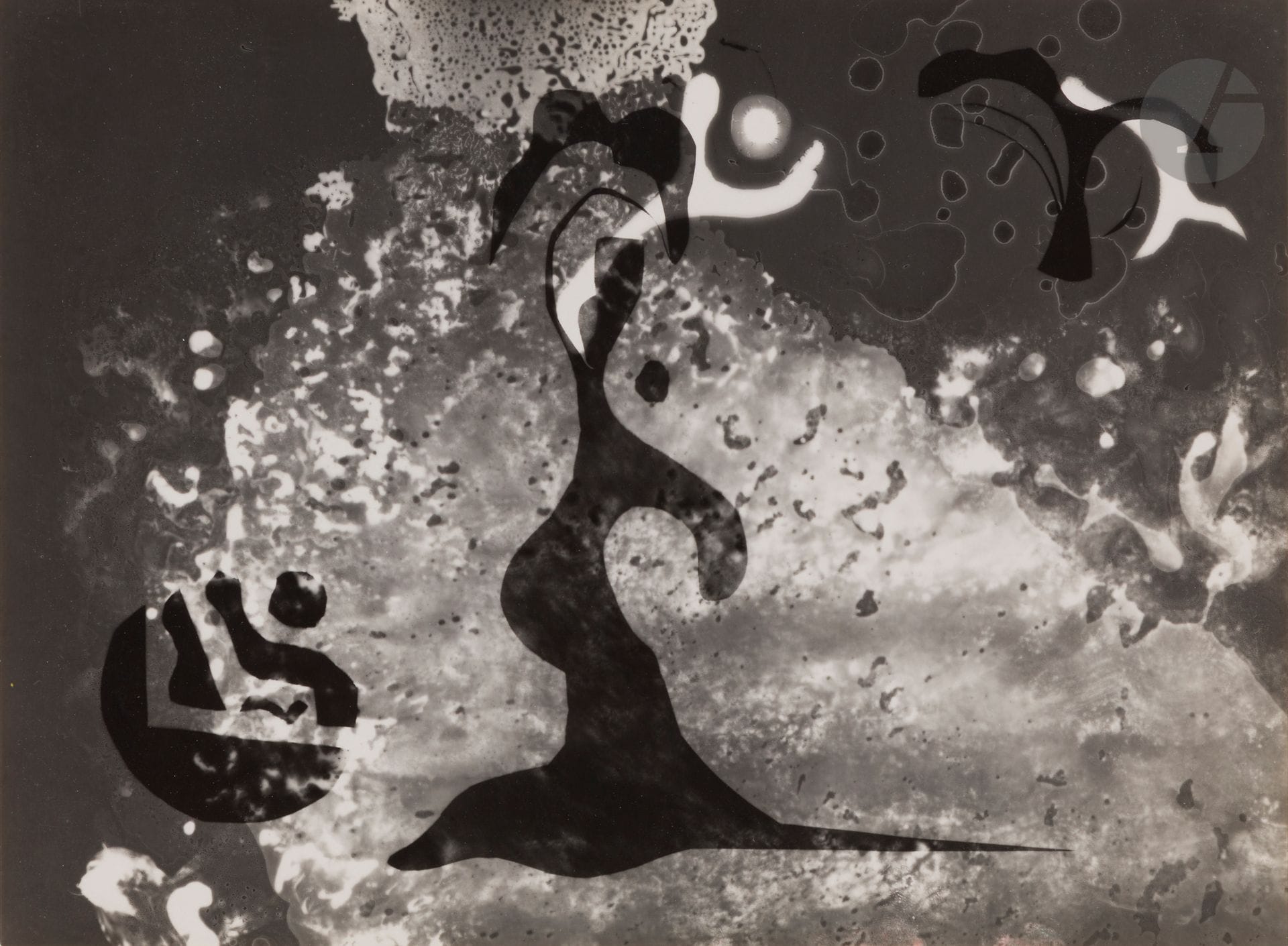 Willy Zielke (1902-1989)
Photogram, 1923. 
Silver print, mounted on card and signed in pencil lower right.
17.5 x 23.8 cm

Bibliography  
Christian Bouqueret, Willy Zielke Photographies 1923-1937, Rencontres internationales de la photographie, Musée Réattu, Arles, July 4 - September 25, 1982, cat. expo, ill. 24.