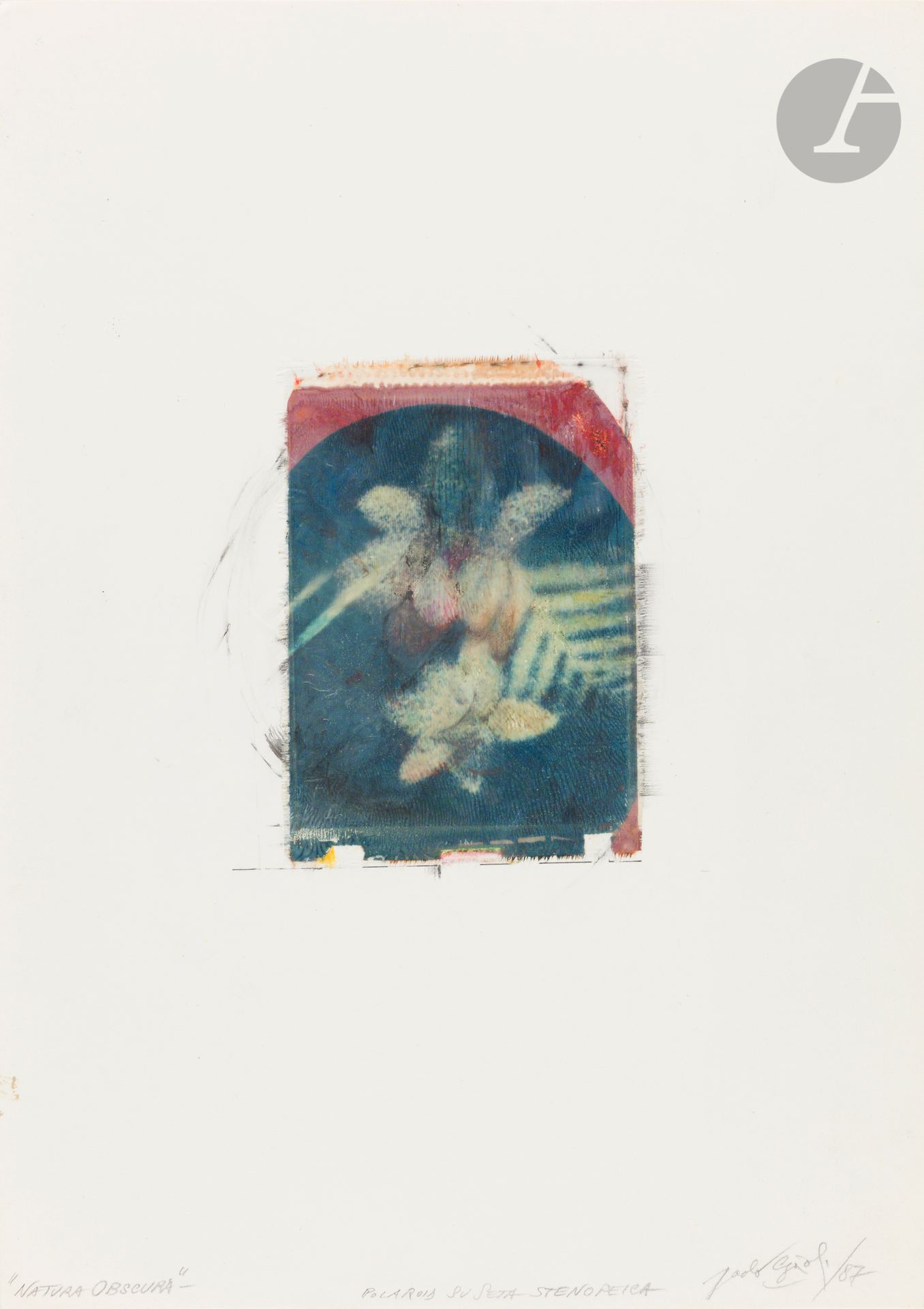 Paolo Gioli (1942-2022)
Natura Obscura, 1987. 
Polaroid sur soie contrecollé sur carton, signé, titré, daté et annoté « Polaroid su seta stenopeica » au crayon sur le montage en bas. Signature et date à l’encre au verso du montage. 
Polaroid : 13,5 x 9,5 cm / Montage : 35 x 25 cm