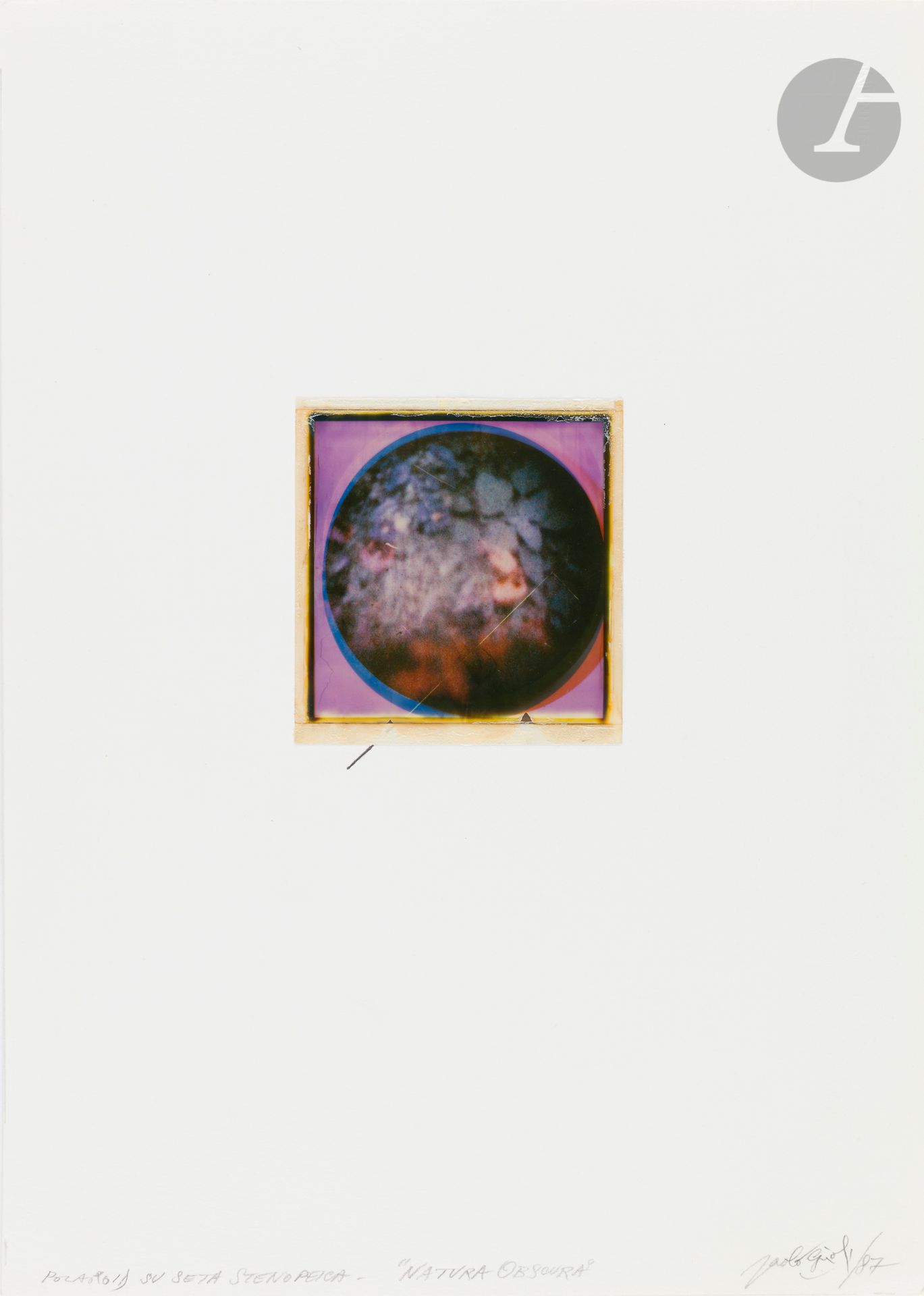 Paolo Gioli (1942-2022)
Natura Obscura, 1987. 
Polaroid sur soie contrecollé sur carton, signé, titré, daté et annoté « Polaroid su seta stenopeica » au crayon sur le montage en bas. 
Polaroid : 8,5 x 8 cm / Montage : 35 x 25 cm