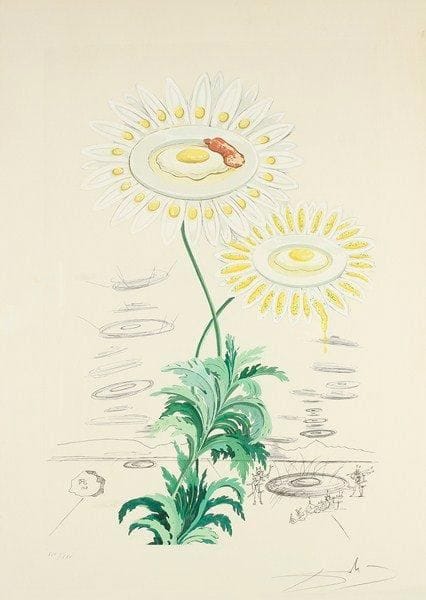 Salvador DALI (1904-1989)
Chrysanthemum frutescens (marguerite). Planche de la suite Flora Dalinae. 1968. Eau-forte et pochoir en couleurs. À vue: 495 x 690. M. et L. 236. Belle épreuve sur vélin blanc, l?une des 25 numérotées en chiffres romains, revêtue d?une signature à la mine de plomb. Marges. Tirage définitif à 200 épreuves. Cadre.