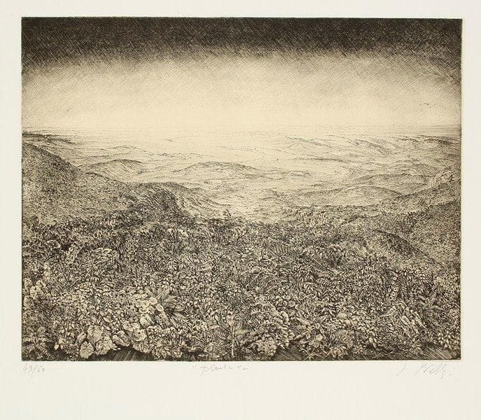 Jean-Pierre Velly (1943-1990)
Plantes, ou Paysage plante. 1971. Eau-forte. 385 x 300. Très belle et fraîche épreuve sur bulle appliqué, numérotée, titrée et signée à la mine de plomb. Légères traces de plis aux bords du feuillet. Toutes marges. Tirage à 60 épreuves.