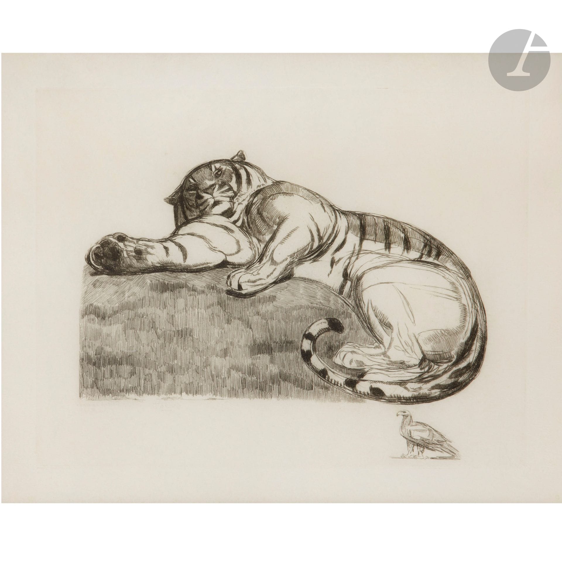 PAUL JOUVE (18787-1973)
Tiger at Rest, ca. 1922, Artist's proof on parchment
Etching on parchment; with the eagle remark. Sold under a marie-louise and with a modern frame with a large moulding in Macassar ebony veneer. Signed JOUVE and marked Épreuve d'Artiste Parchemin, in pencil, partly erased, at the bottom left under the engraved part. Work alone at sight : 31 x 38 cm - With frame : 59 x 66,5 cm

History:
Jouve made this etching around 1922, he will take up this composition by adding another tiger, for a portfolio that will be published in 1931. Once the print of this etching on Velin paper was completed, Jouve made three deluxe proofs of this etching on parchment, parchment offering a better rendering of the etching. 

Bibliography :
Félix Marcilhac - Paul Jouve, peintre sculpteur animalier - Les Éditions de l'Amateur, Paris, 2005. A proof of our etching model reproduced on page 363.