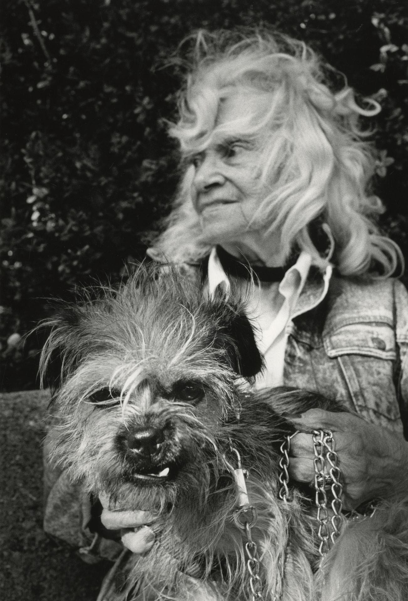 Michel Vanden Eeckhoudt (1947-2015)
Gap [chien et sa maitresse], 2009. 
Épreuve argentique d'époque, signée, titrée et datée au crayon au verso. 
Image : 44,7 x 30 cm 
Feuille : 49,7 x 36,2 cm