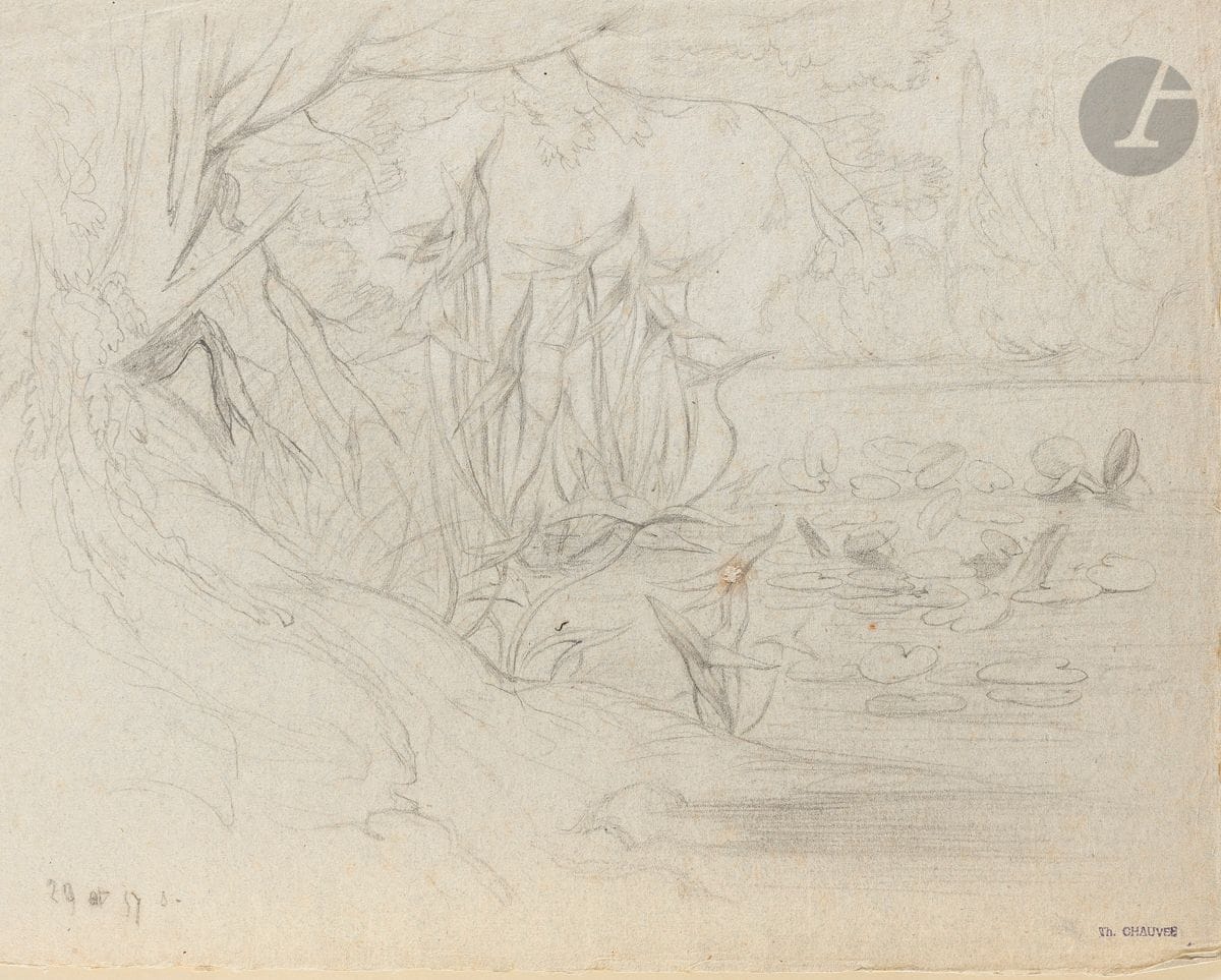 Théophile Chauvel (1831-1909) 
Studies of plants in Ville-d'Avray. 1857 and 1859. Drawings. Graphite on gray laid paper and beige vellum. [295 x 230 and 320 x 245]. Respectively annotated lower left "29 [?] 57 d." and "14 aout 59 d. ville d'avray". Workshop stamp (Lugt 3924). Slight foxing. Joint: anonymous drawing on beige vellum. Graphite and white chalk. Set. 3 p.