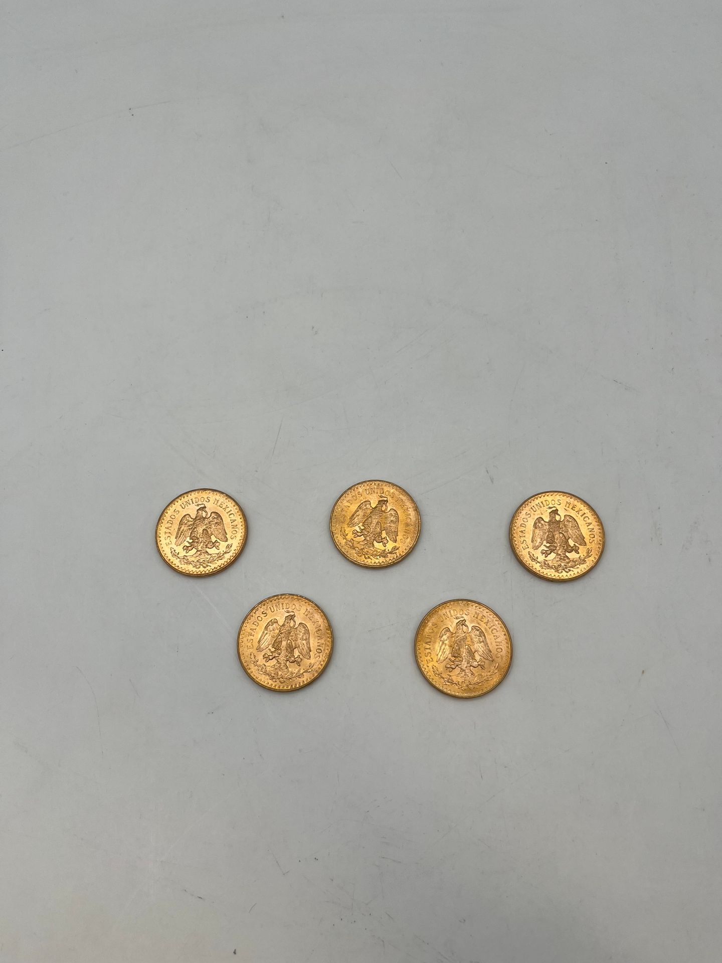 5 pièces de 50 Pesos en or.

Frais acheteur pièces et lots en or : 9,6% TTC -  8% HT 