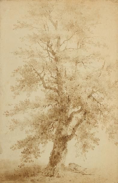 Jean-Baptiste LEPRINCE (Metz 1734 - Saint Denis du Port 1781)
Un homme endormi au pied d'un grand arbre Plume et encre brune, lavis brun. 45 x 29 cm