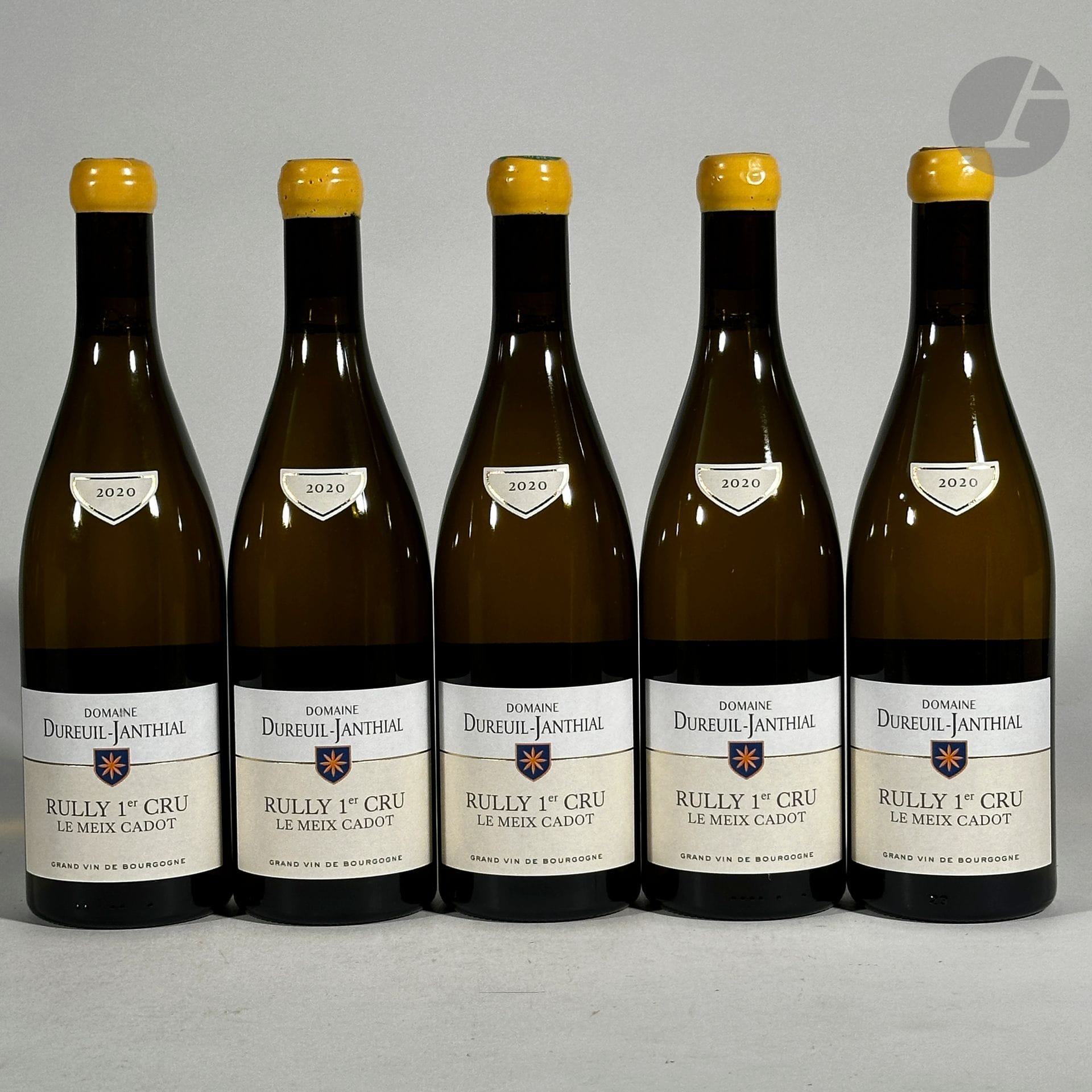 5 B RULLY LE MEIX CADOT Blanc (1er Cru), Domaine Dureuil-Janthial, 2020