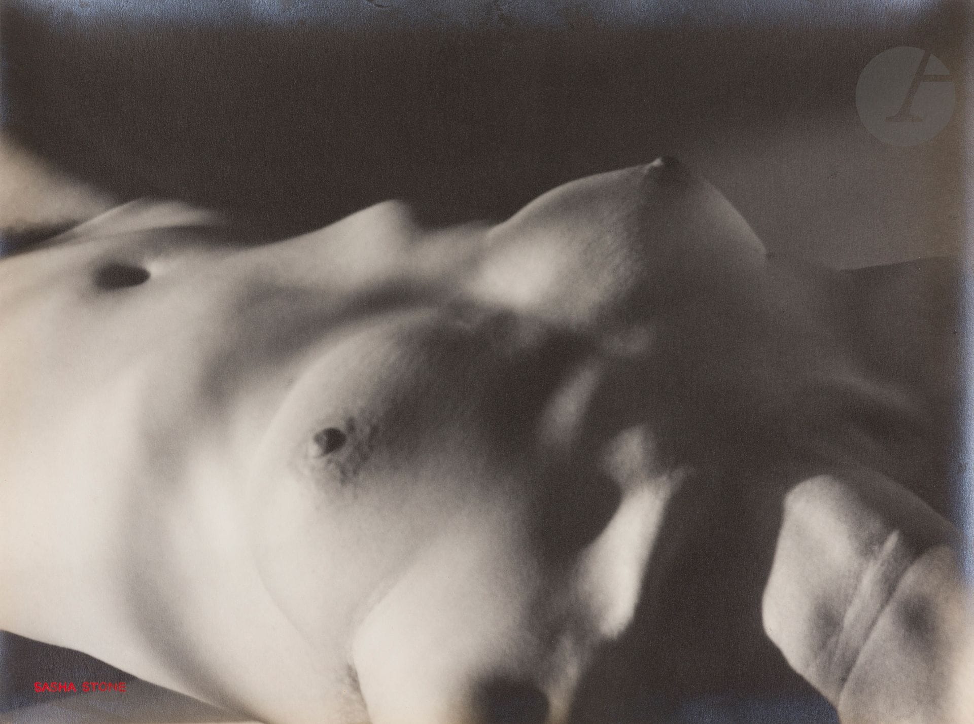 Sasha Stone (1895-1940) 
Nude from the Women [Torso] series, c. 1932.
Silver print, signed in red ink lower left. Stamped "Copyright Stone - Bruxelles" on verso with handwritten references "33530" and "Farde n°32" in red ink.
29.5 x 39.5 cm