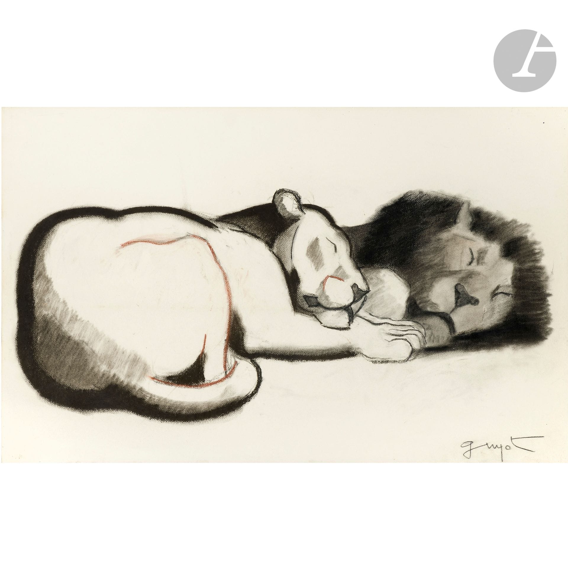 GEORGES LUCIEN GUYOT (1885-1973)
Lion and lioness at rest
Drawing.
Charcoal, dry pastel.
Signed G. GUYOT lower right.
42 x 64.5cm

Provenance:
Collection X., Paris. Acquired by the current owner's grandfather directly from the artist. The current owner's grandfather and mother were close friends of Georges Lucien Guyot.