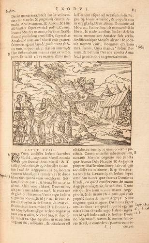 [BIBLE]. Biblia Sacra ad optima quæq; veteris, ut vocant... Lyon: Jean de Tournes, 1567. - In-8, (8 ff.), 1152 pp., (40 ff. dern. bl.). Basane havane, filet doré en encadrement sur les plats, dos à nerfs orné de filets dorés, tranches mouchetées (reliure du XVIIe siècle). Belle édition imprimée sur deux colonnes par Jean de Tournes, reprenant celle qu'il donna en 1554, laquelle suivait l'édition publiée par Gryphe en 1550 qui reproduisait en partie celle de Robert Estienne de 1540. Elle est illustrée d'un encadrement sur le titre et de 198 VIGNETTES GRAVÉES SUR BOIS DE BERNARD SALOMON. Cette édition manque à l'inventaire des Bibles imprimées du XVe au XVIIIe siècle conservées à Paris publié par Martine Delaveau et Denise Hillard. Reliure défraîchie, dos passé. Papier roussi et quelques traces de mouillures, déchirure au feuillet A4 sans manque dans le texte, annotations sur le titre et la garde