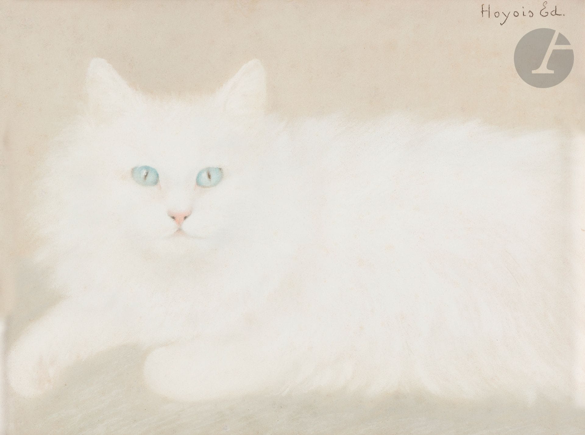Edmond HOYOIS 
(La Couture 1882 - 1981)
Portrait de chat angora
Pastel
Signé en haut à droite 
26 x 33,5 cm