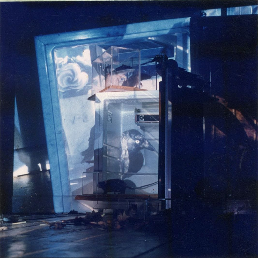 Helen Sear (1955)
Natural Habita. Living Room, 1989.
Épreuve chromogénique d'époque sur papier Agfa, signée, titrée et datée au feutre dans la marge inférieure. Tampon de la photographe sur étiquette au verso.
Image : 18 x 18 cm / Feuille : 25,2 x 20,2 cm