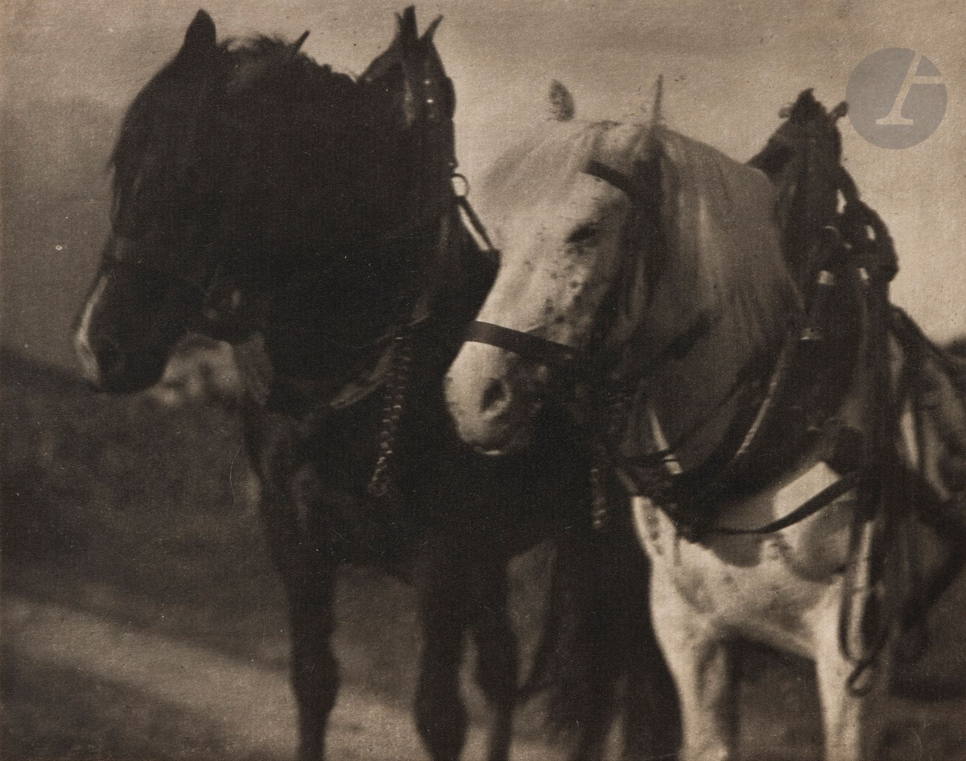 Alfred Stieglitz (1864-1946)
Horses, 1904. 
Héliogravure d’époque sur papier japon (issue de la revue Camera Work, n° 12, 1905) , montée par les coins supérieurs sur feuillet. 
Image : 18,2 x 23 cm / Feuille : 21 x 30 cm