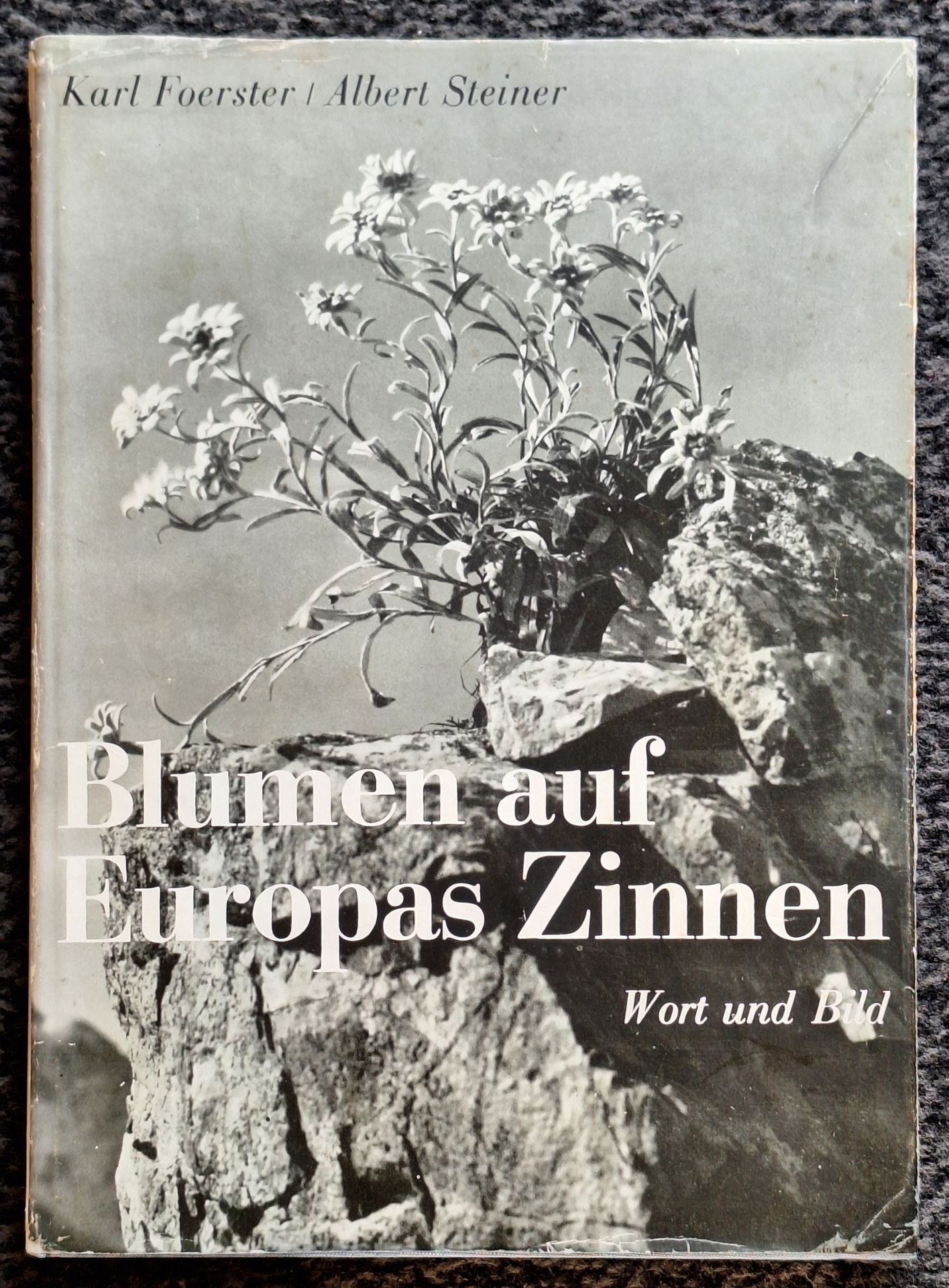 STEINER, ALBERT (1877-1965)
Blumen auf Europas Zinnen. Wort und Bild.
Rotapfel Verlag, 1936.
In-4 (28 x 20 cm). Édition originale. Texte de Karl Foerster. 136 pp. 60 photographies par Albert Steiner. Reliure en tissu bleu avec motif de fleur sur le 1er plat, sous jaquette illustrée.