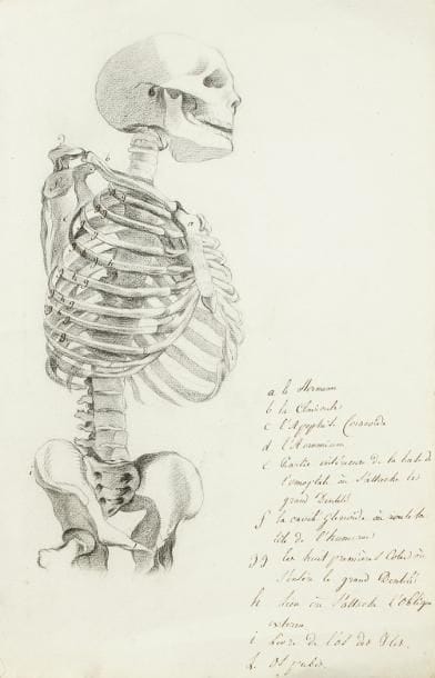 François GUIZOT (1787-1874)
homme politique et historien. Manuscrit autographe signé avec dessins, Cahier d'Anatomie à François Guizot ; grand cahier in-fol. cousu, titre et 5 planches, dessins au crayon noir légendés à la plume.    Magnifiques planches d'anatomie autographes, probablement un cahier de jeunesse lors de ses études. Sur la couverture, 2 signatures (du professeur ?: Le Frojeaux ?), et Guizot a noté en bas : « d'après Monet ». Sur la première planche, deux dessins de pieds droits : écorché et en squelette, avec en légende les « noms des muscles » et des os... La planche 2 : même procédé pour la jambe, du pied à la cuisse ; planche 3, main et squelette de main, avec indication des muscles et ligaments ; la planche 4 représente un squelette, du bas du bassin au crâne, sans bras, de trois-quarts profil, avec légende des os du bassin et de la cage thoracique ; la dernière planche représente un homme dans la même position que le squelette, avec nom des muscles de la cage thoracique.  Louis-Bernard GUYTON-MORVEAU : voir les nos 333, 336, 344, 424, 425, 426, 427, 439.