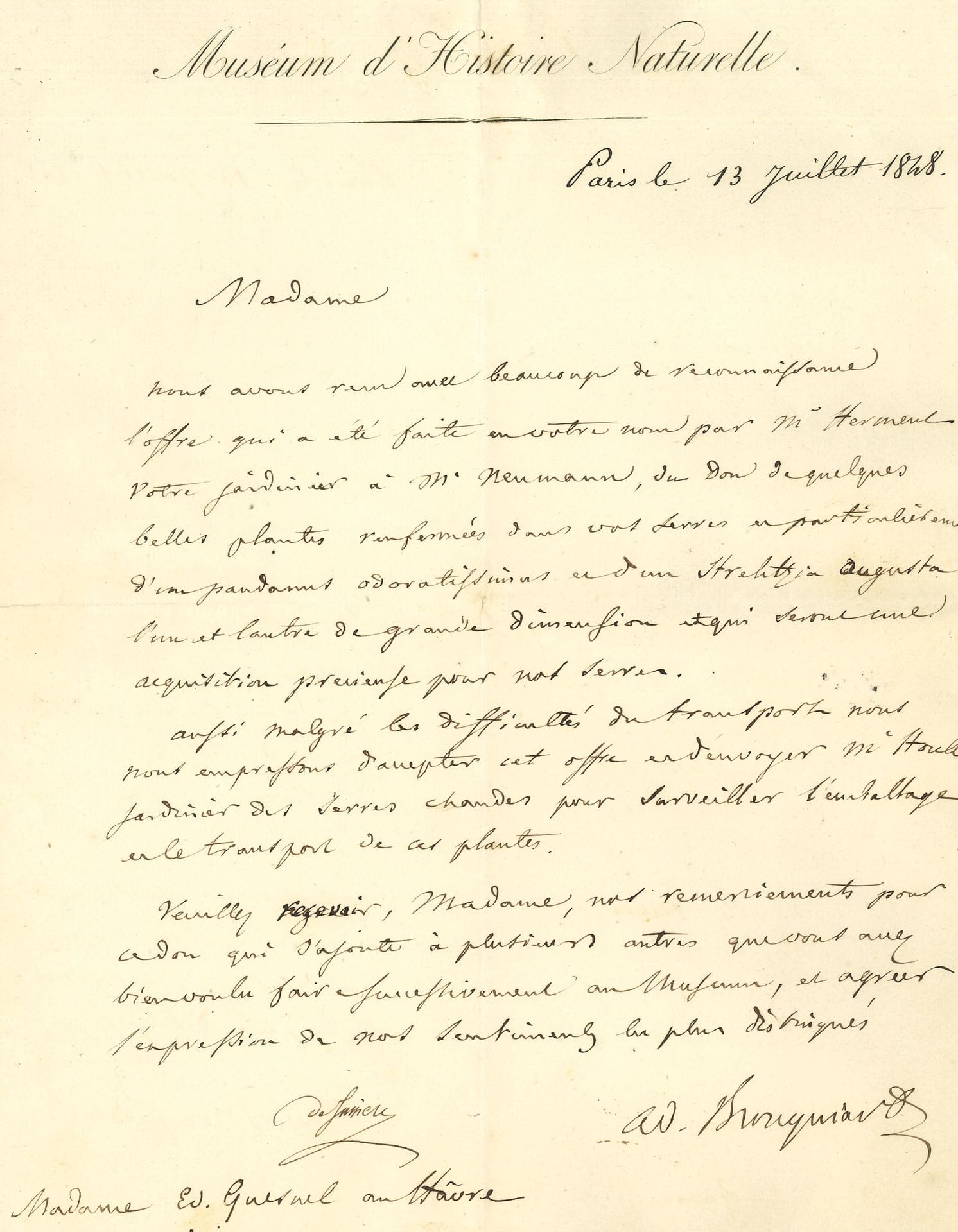 Adolphe BRONGNIART (1801-1876) paléobotaniste. L.A.S. cosignée par Adrien de Jussieu, Paris 13 juil. 1848, à Mme Ed. Quesnel au Havre; 1 page in-4 à en-tête du Museum d’Histoire Naturelle.
C’est avec reconnaissance et empressement que le Museum accepte le don «de quelques belles plantes renfermées dans vos serres et particulièrement d’un pandanus odoratissimus et d’un strelitzia Augusta l’un et l’autre de grande dimension et qui seront une acquisition précieuse pour nos serres». M. Houllet le jardinier des serres chaudes sera envoyé pour surveiller l’emballage et le transport des plantes…
On joint une L.A.S de Marcelin Berthelot (1898), 2 L.A.S. de Victor Raulin, et un billet a.s. de Chevreul.