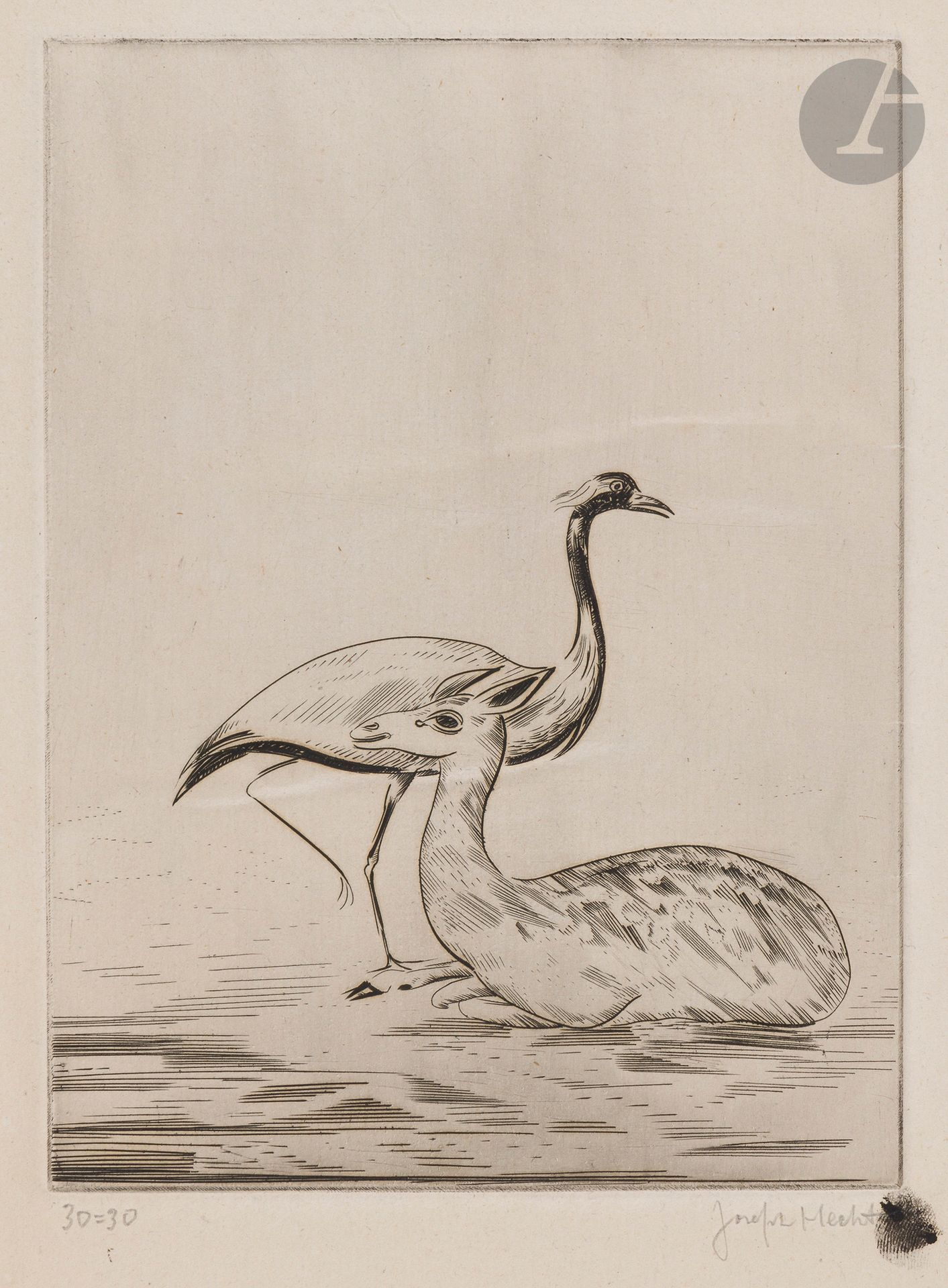 Joseph Hecht (1891-1951)
Biche et flamant. Vers 1934-1945. Burin. 132x178. Plumart et Tonneau-Ryckelynck 328. Très belle épreuve sur vergé de Montval filigrané au brochet, numérotée et signée au crayon. Trace d’encre (empreinte digitale) sur la signature. Trace d’oxydation aux bords du feuillet.  Toutes marges. Tirage à 30 épreuves.