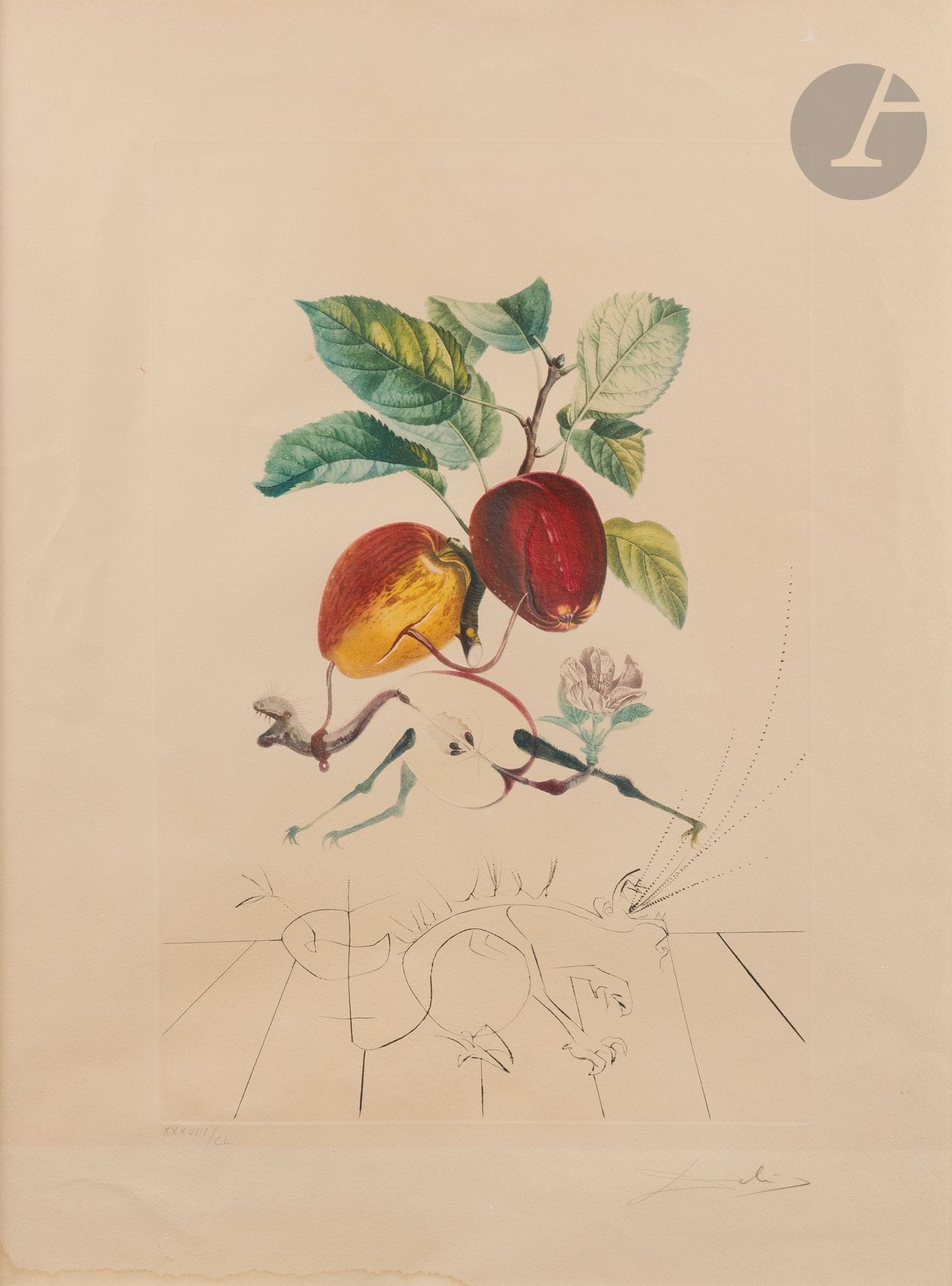 Salvador Dalí (1904-1989)
Pomme Dragon. (Pl. 1 de la suite Flordali – Les Fruits). 1969-1970. Lithographie en couleurs et pointe sèche. À vue: 550x750. Michler et Löpsinger 344. Belle épreuve sur vélin jaune ivoire, numérotée et revêtue d’une signature au crayon, oxydée. Plis de manipulation et plis cassés marginaux. Forte auréole d’humidité le long du feuillet en pied. Toutes marges. Tirage à 150 épreuves. Cadre.