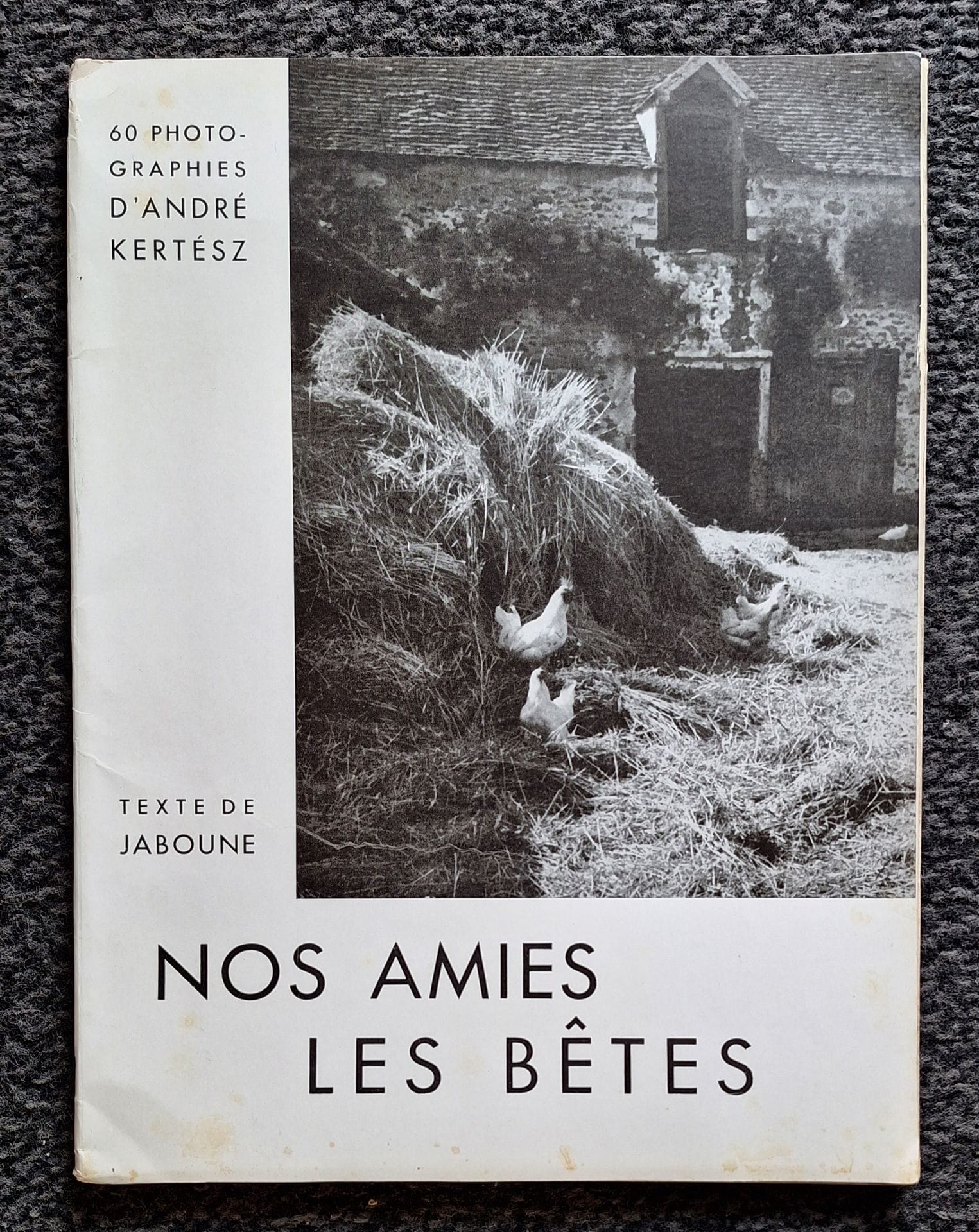 KERTESZ, ANDRÉ (1894-1985)
Nos amies les bêtes.
Texte de Jaboune.
Éditions d'Histoire de l'Art, Librairie Plon, Paris, 1936.
In-4 (30 x 22,5 cm). Édition originale, brochée. 60 photographies imprimées en héliogravure. Couverture souple illustrée.