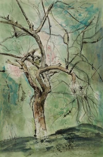 G. HUBER (XXe siècle)
Arbres Encre et aquarelle. Signée en bas à droite. 56 x 38 cm